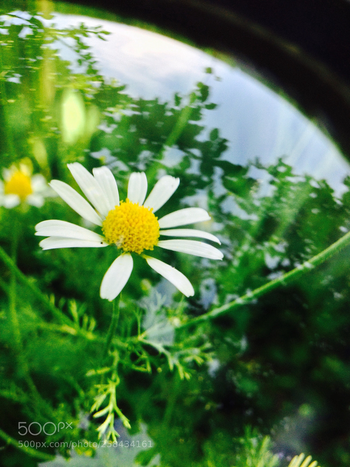 Apple iPhone 4S sample photo. Untitled photography
