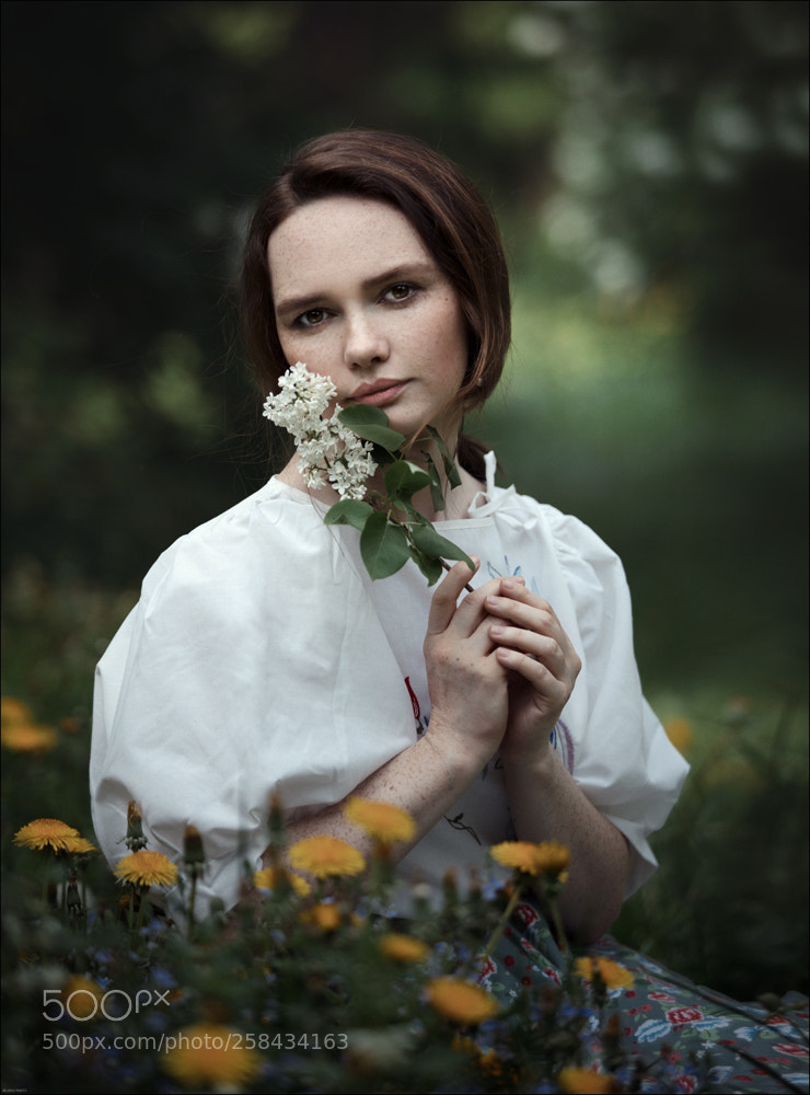 Canon EOS 5D Mark IV sample photo. *** photography