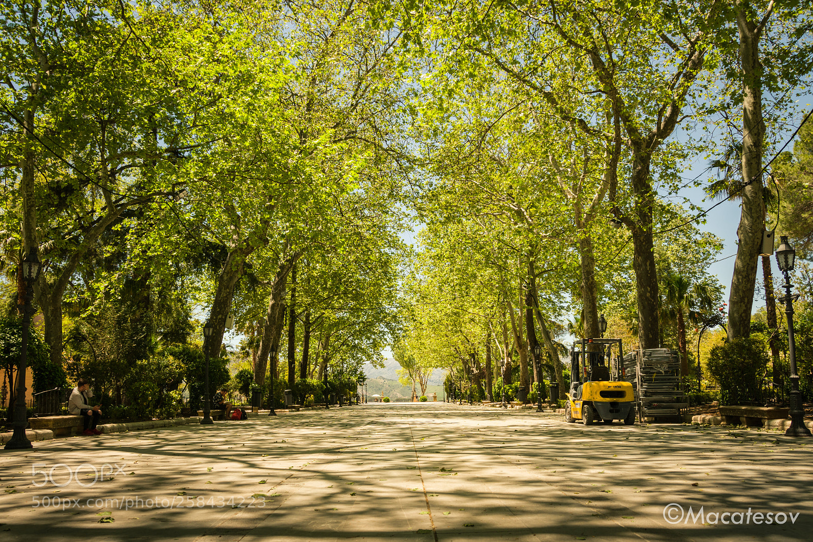 Nikon D3400 sample photo. Plaza photography
