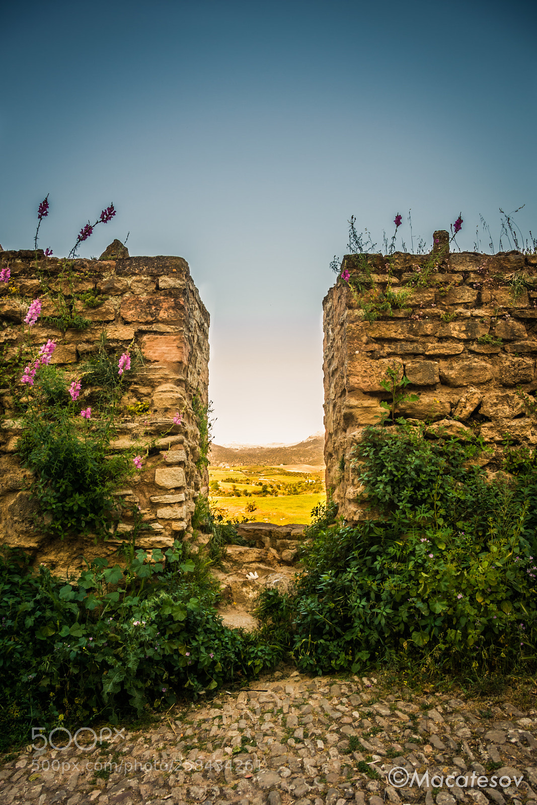 Nikon D3400 sample photo. Muro de piedras photography