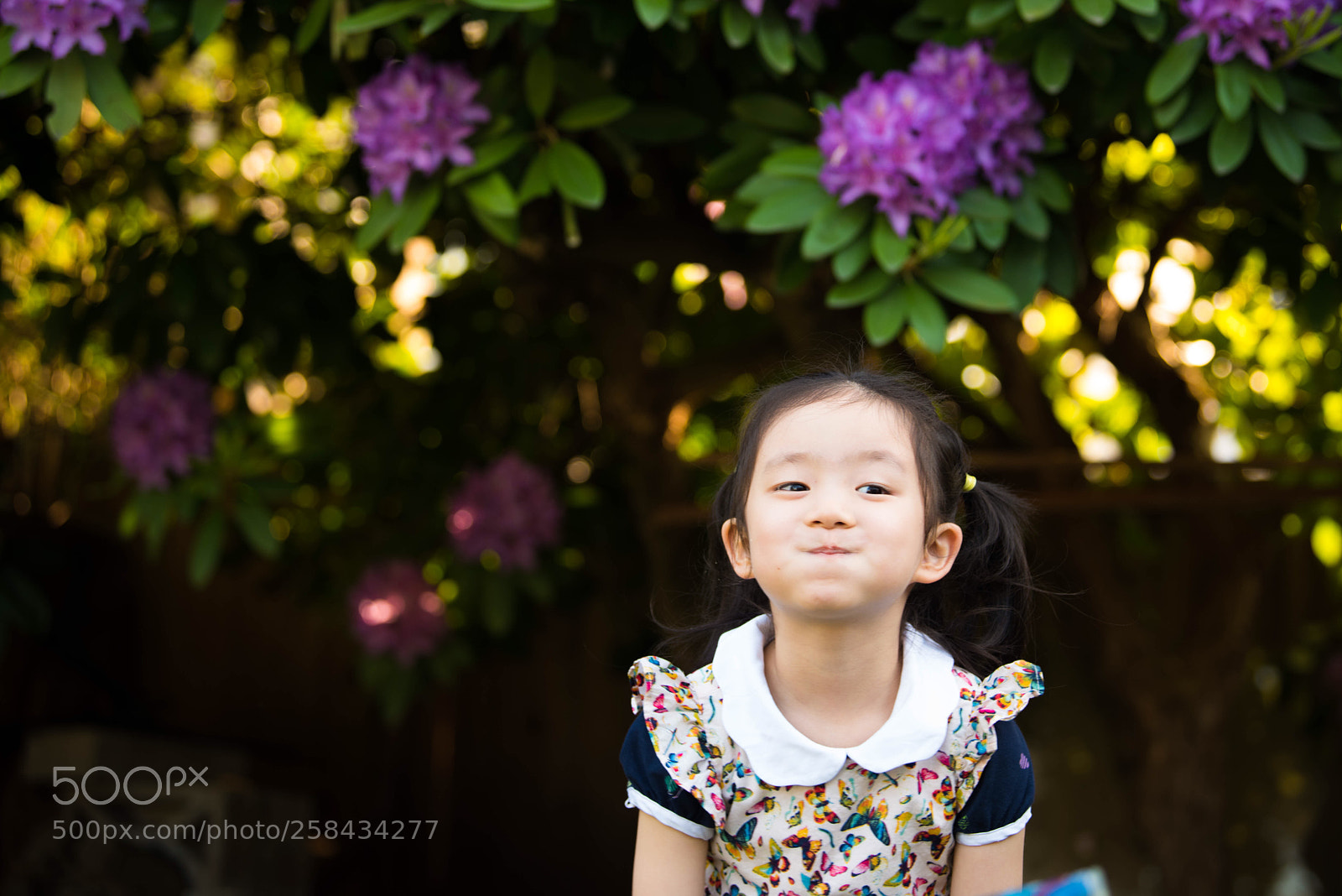 Nikon D810 sample photo. Girl with flower photography