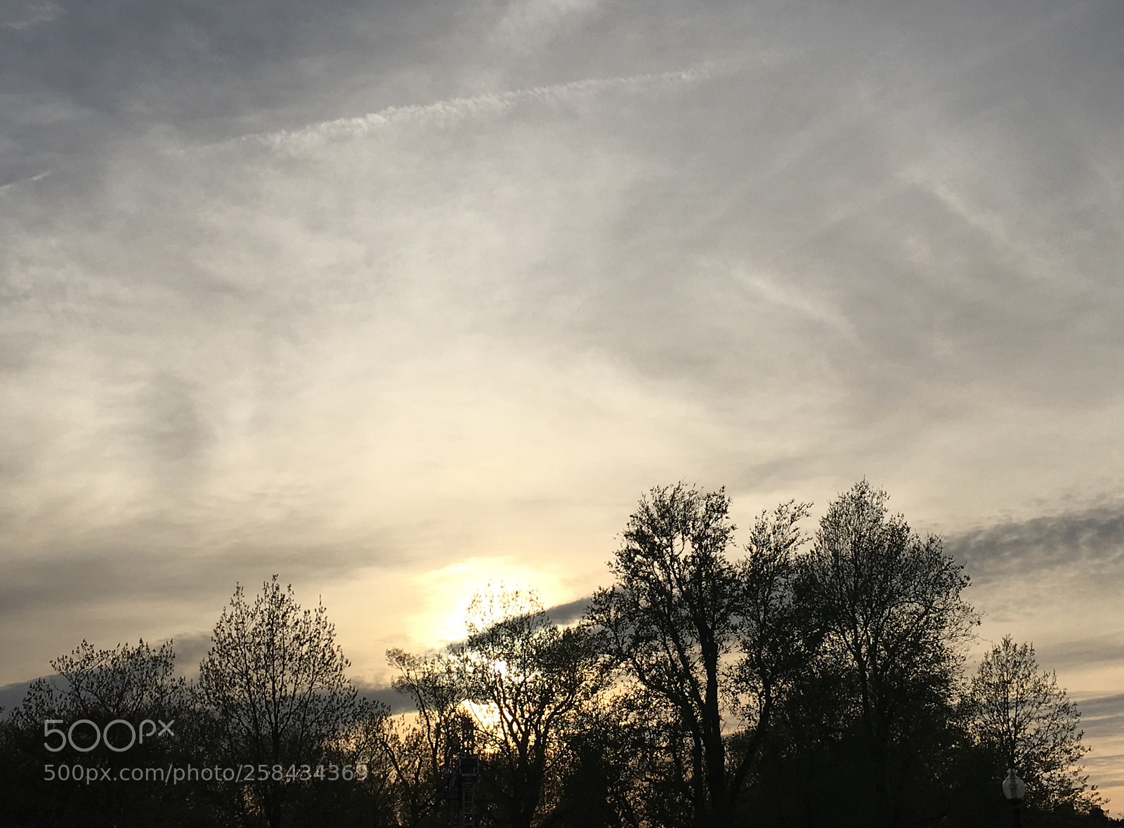Apple iPhone 6s sample photo. Bidding goodbye.. photography