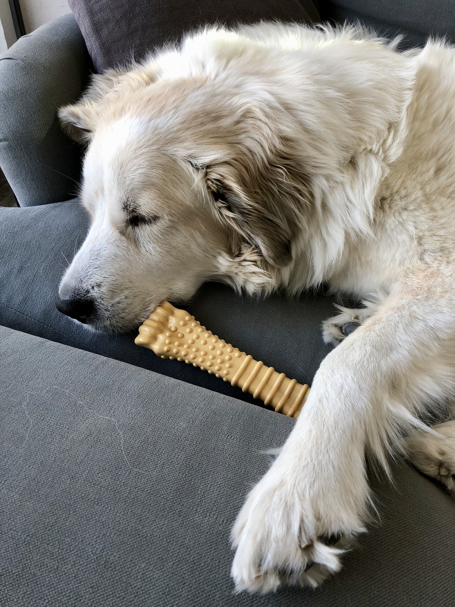 let sleeping dogs lie