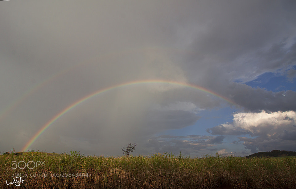 Canon EOS 50D sample photo. Rainbow photography