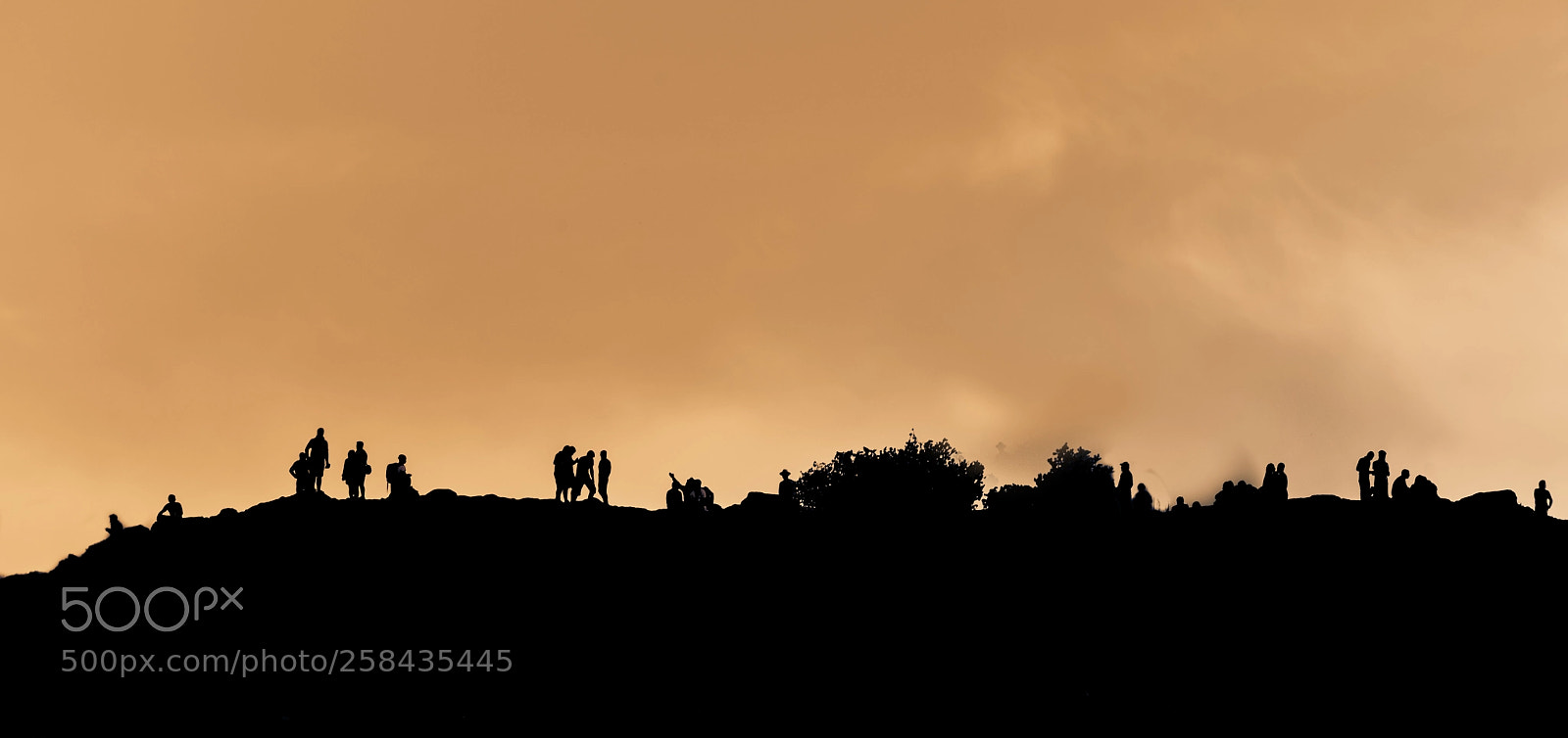 Nikon D810 sample photo. Contre - jour photography
