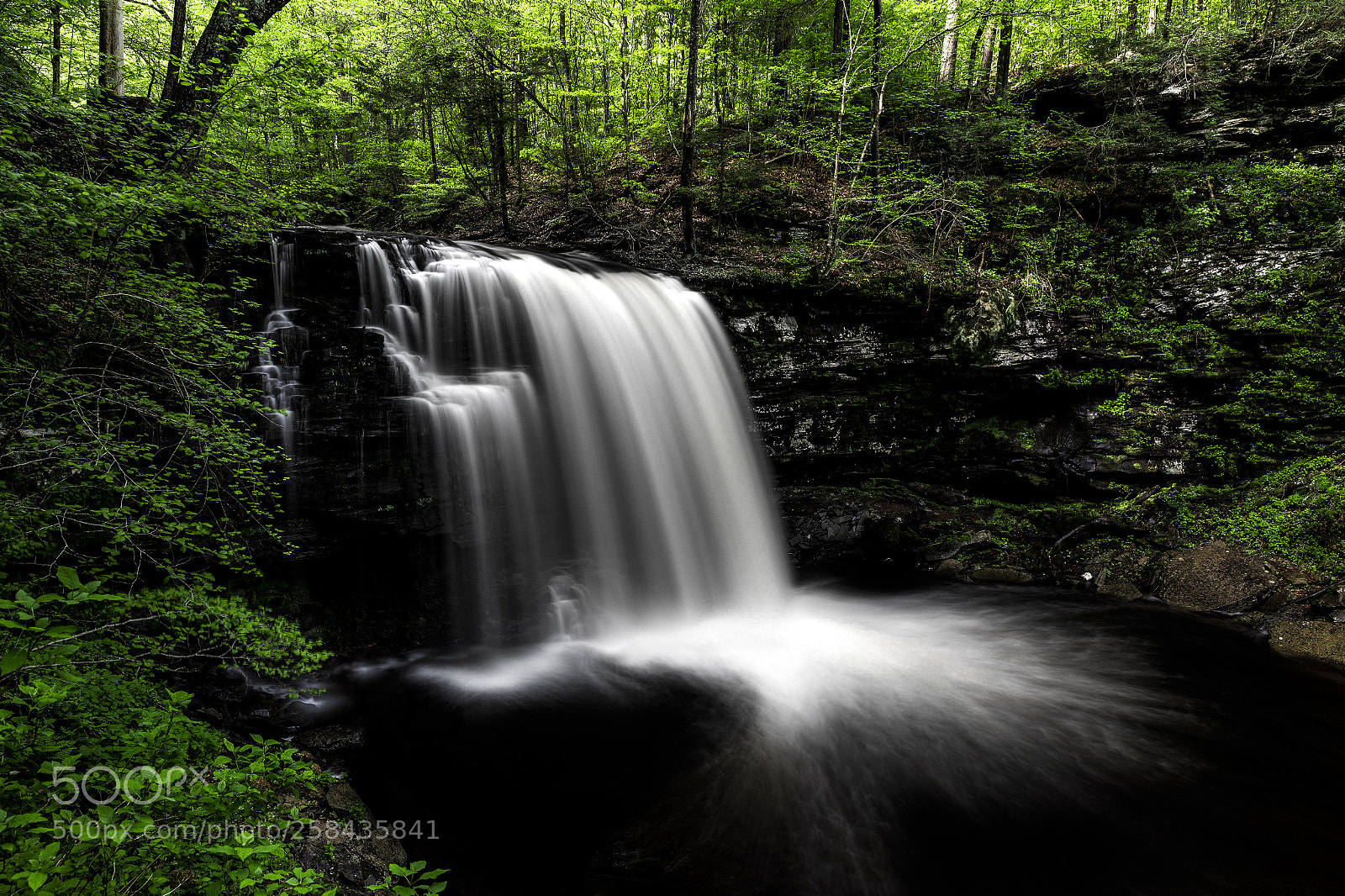 Canon EOS-1D X Mark II sample photo. Sheldon reynolds falls, ricketts photography