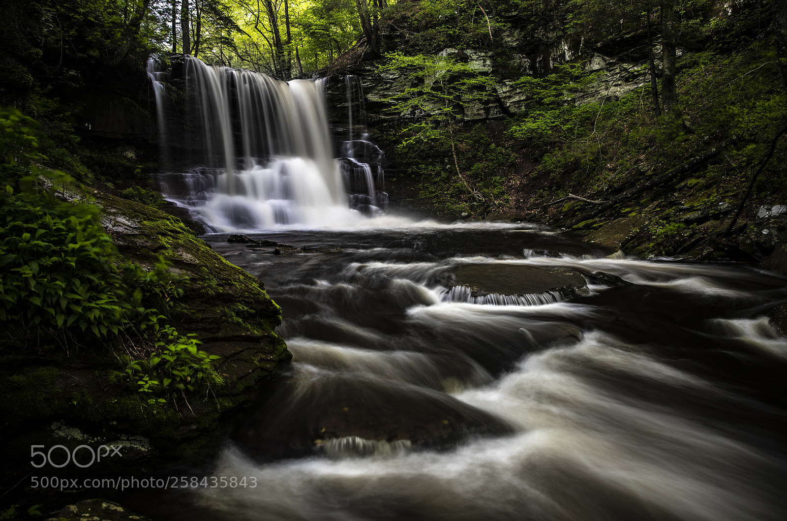 Canon EOS-1D X Mark II sample photo. Harrison wright falls, ricketts photography