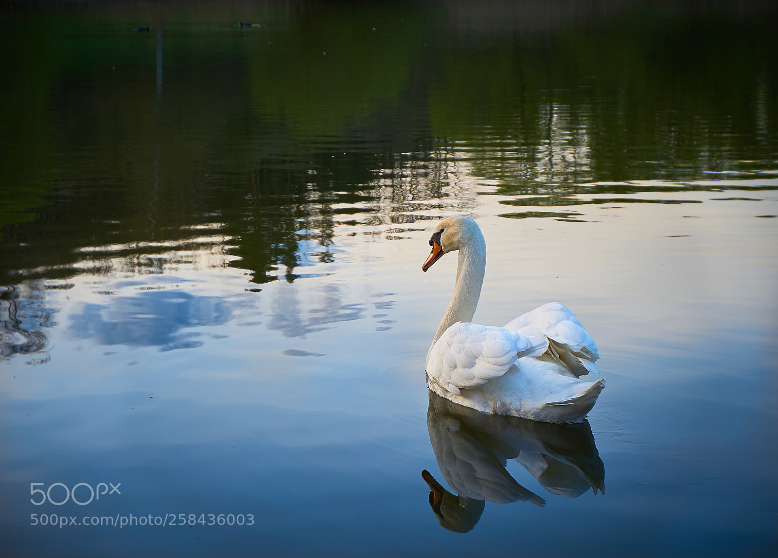 Sony a6000 sample photo. Reflektion photography