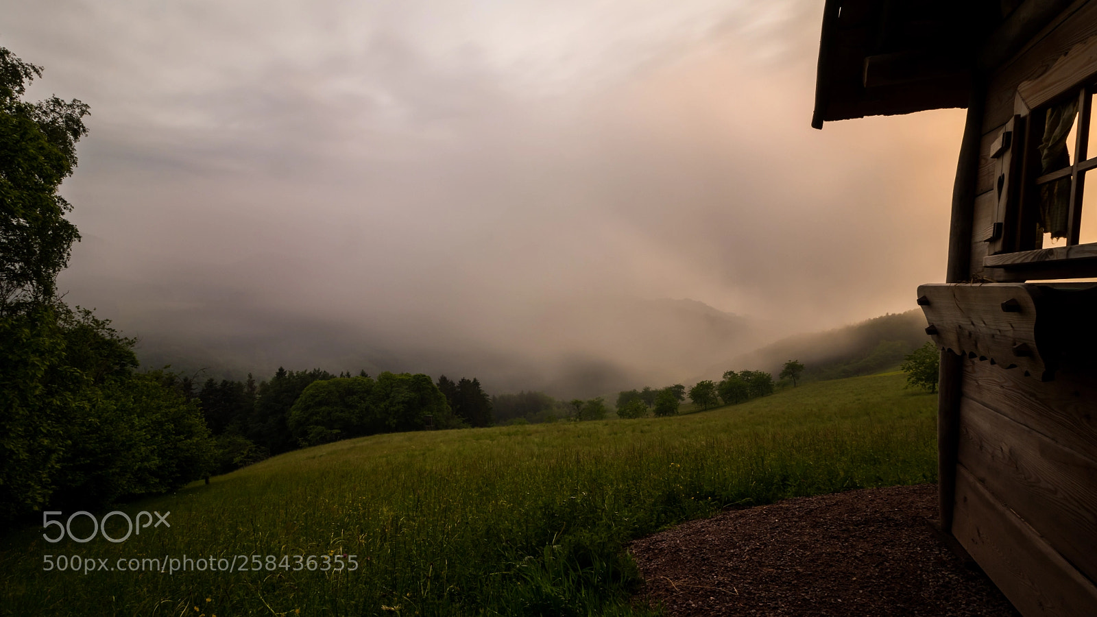 Canon EOS 80D sample photo. Langenberg nebelschwaden photography