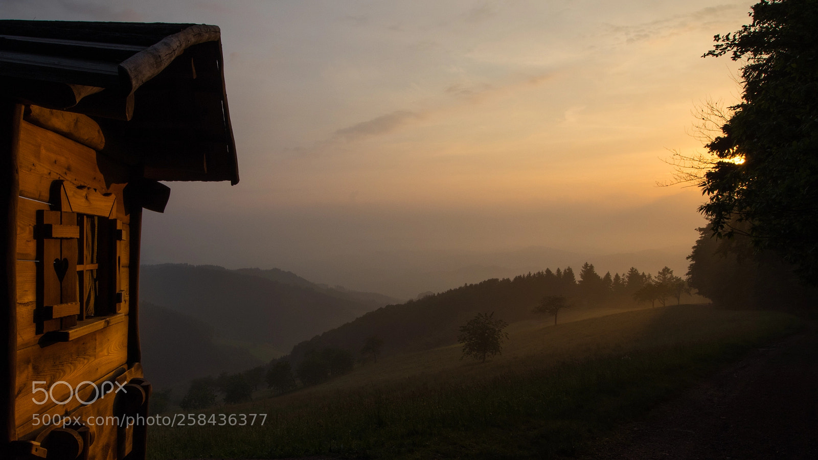 Canon EOS 80D sample photo. Schmusehisli im abendlicht photography