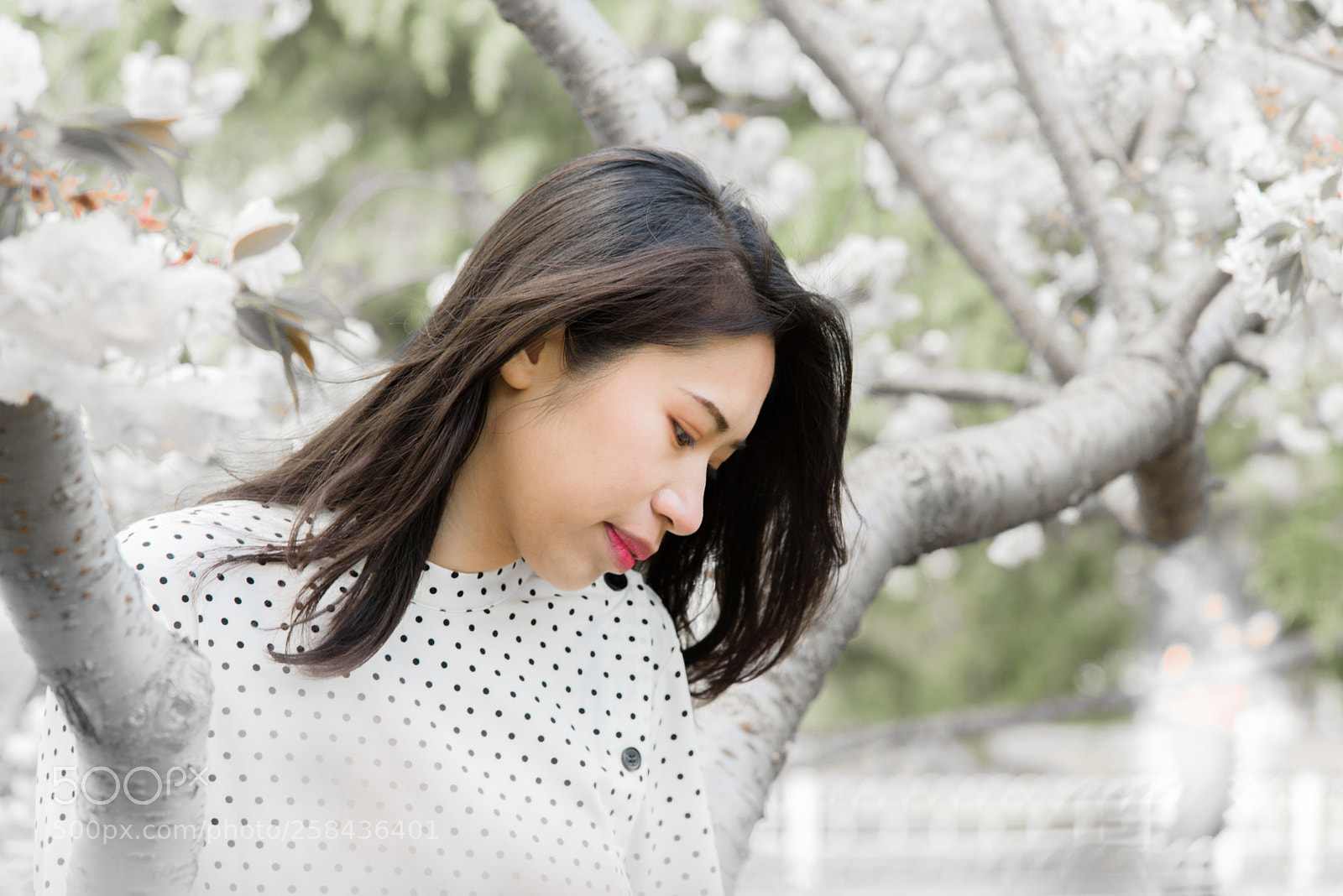 Nikon D750 sample photo. Girl photography