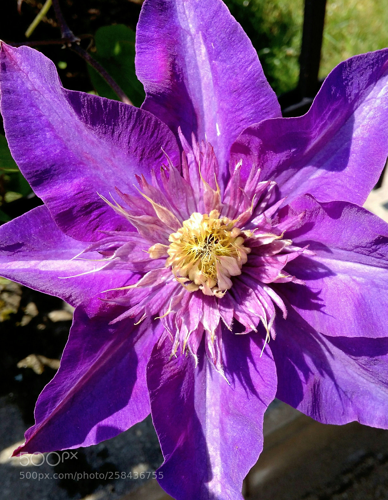 Xiaomi Redmi 4A sample photo. Untitled photography