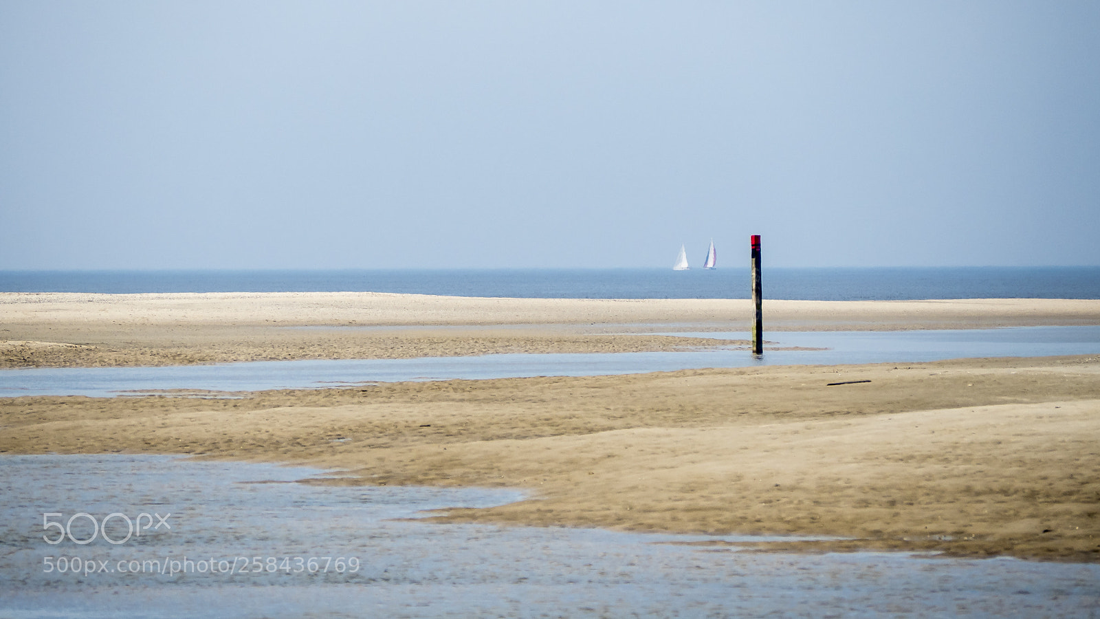 Olympus OM-D E-M5 II sample photo. Texel photography