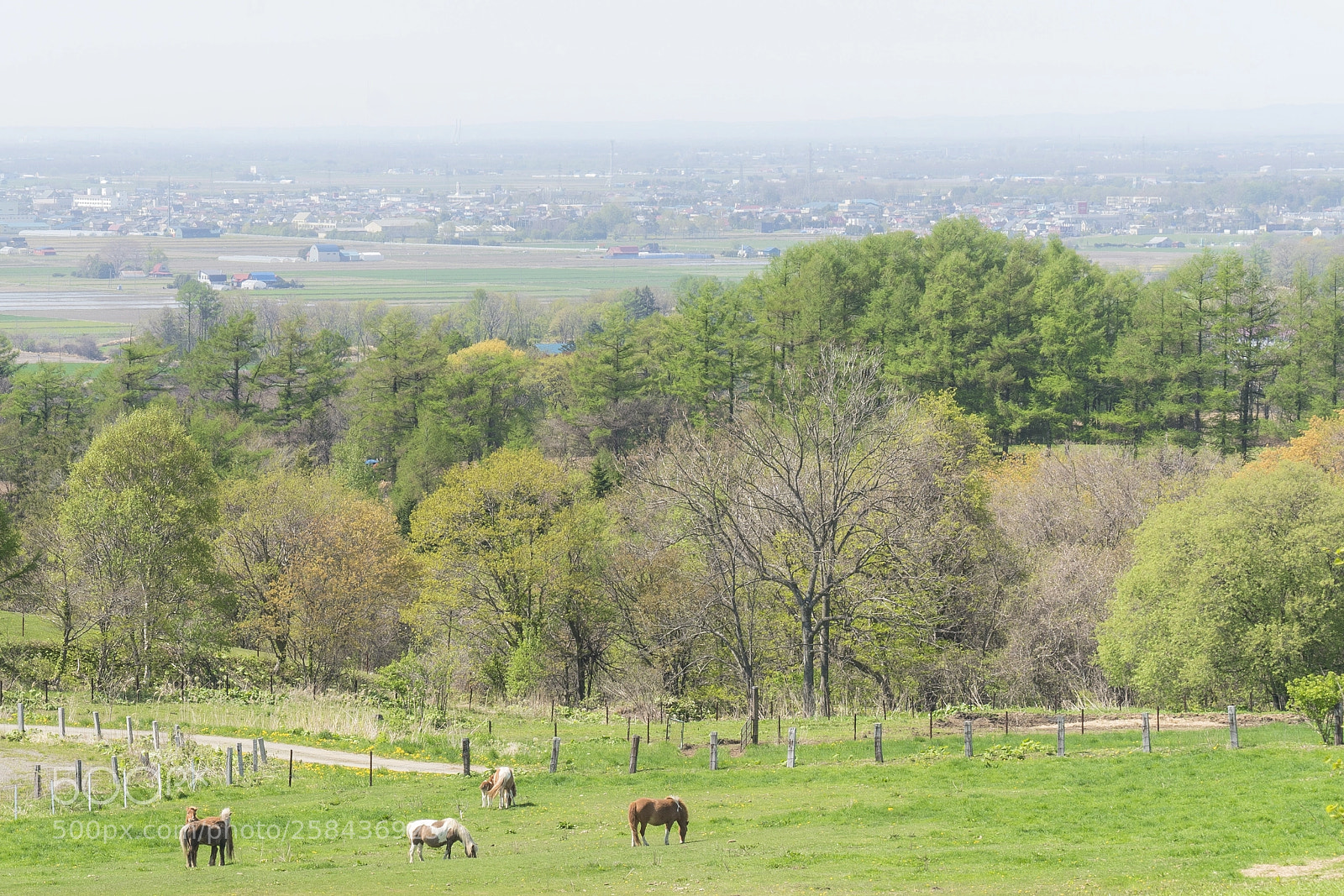 Sony a7R II sample photo. Hilltop farm photography