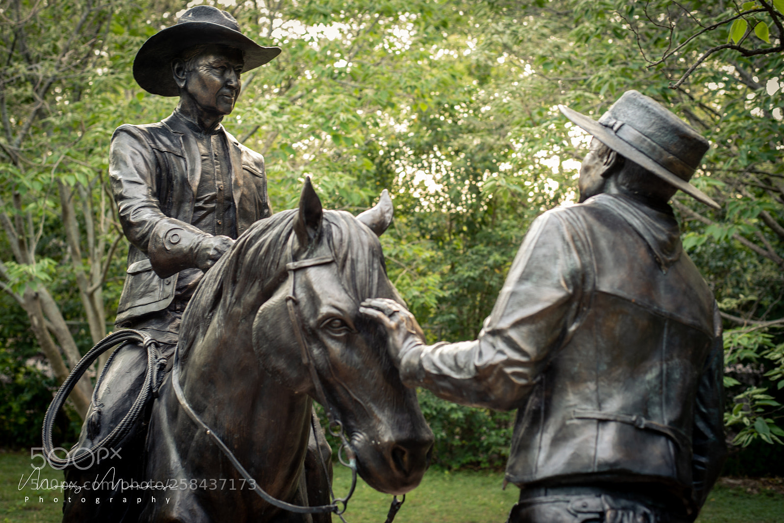 Nikon D750 sample photo. Gathering brands - chisholm photography