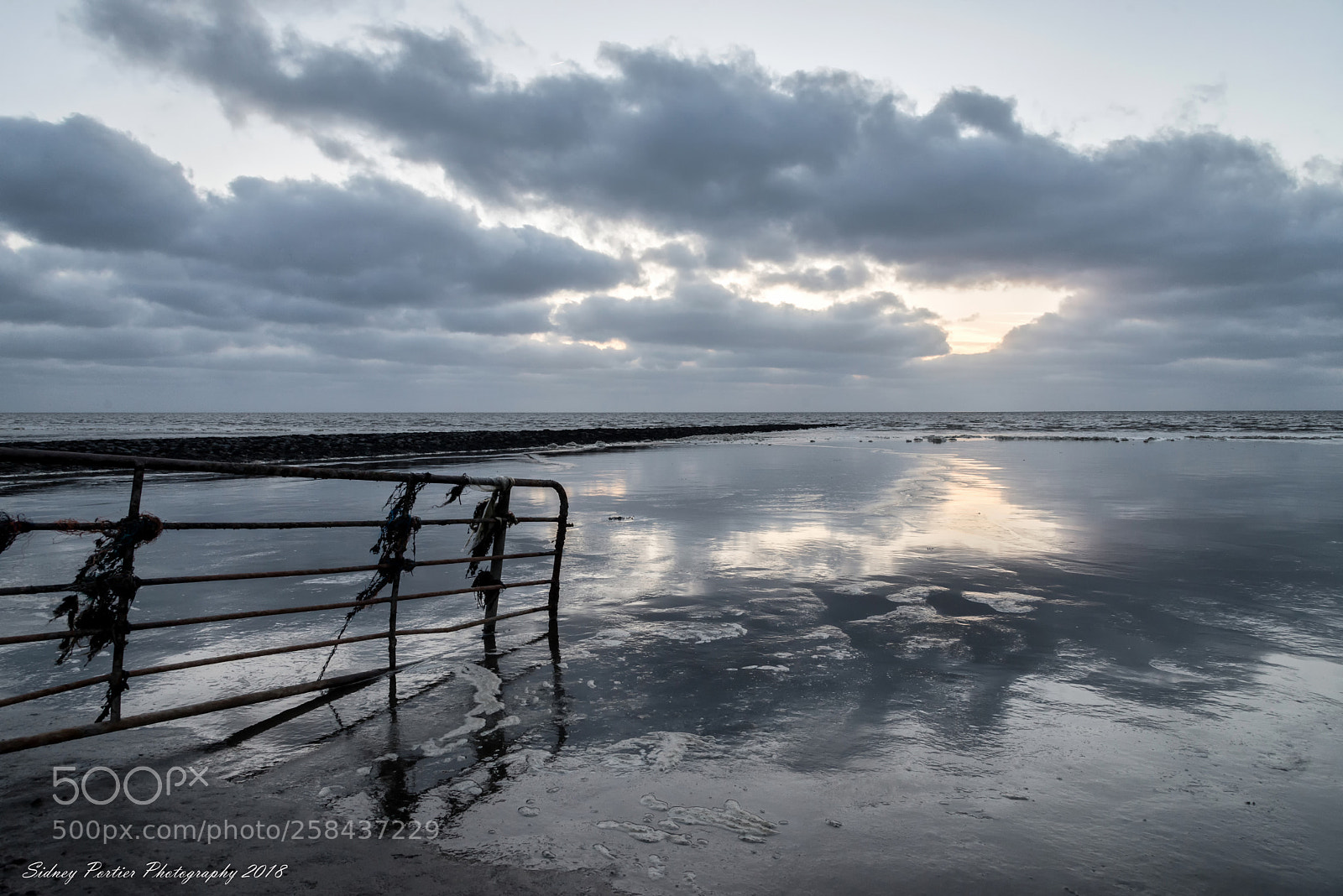 Nikon D600 sample photo. Waddenzee photography