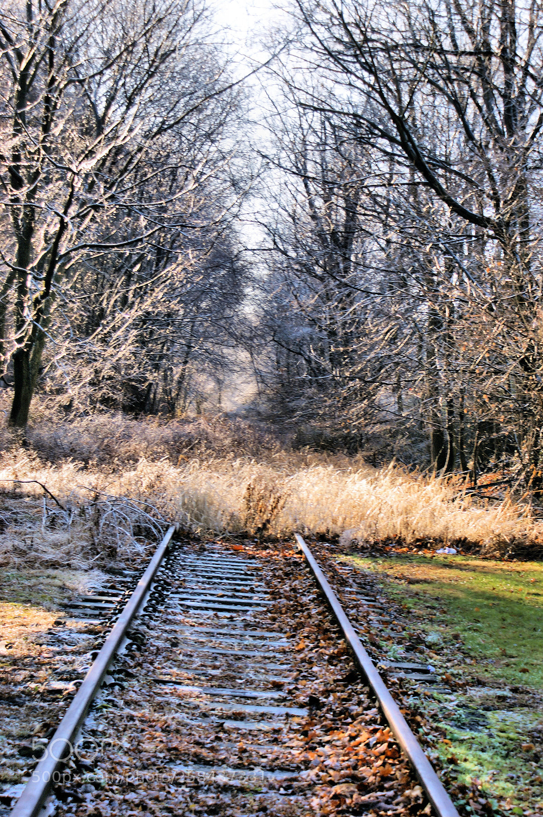 Sony Alpha DSLR-A350 sample photo. Wintry railroad tracks photography