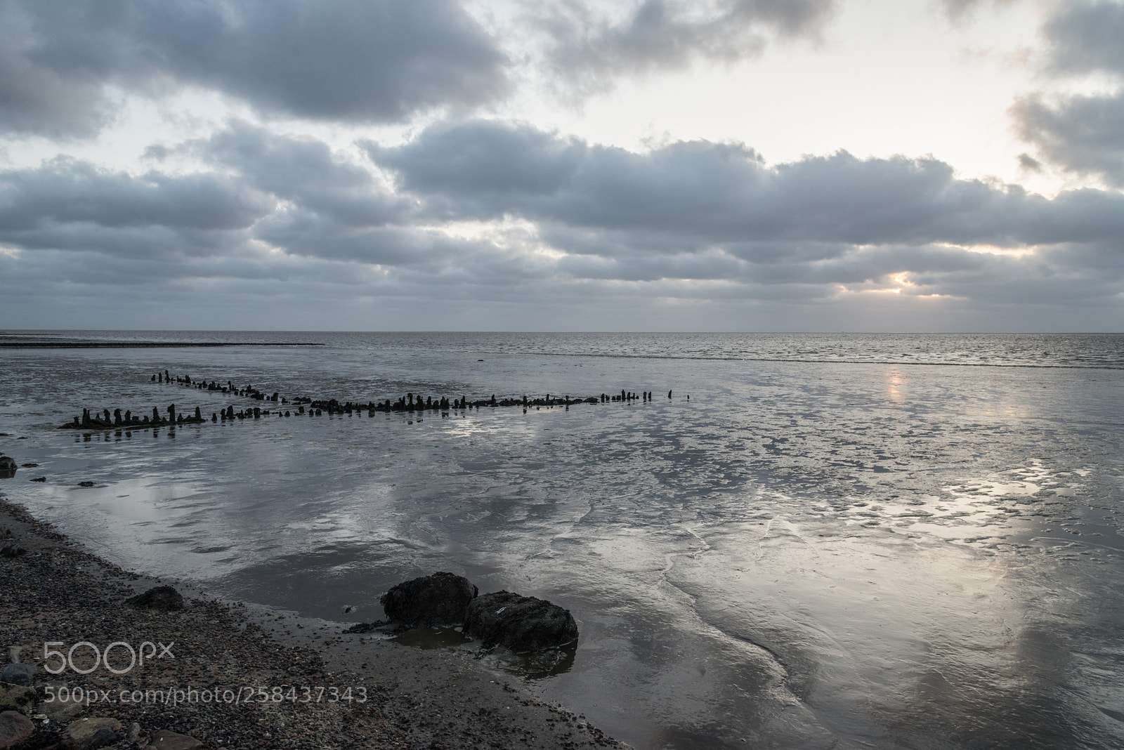 Nikon D600 sample photo. Waddenzee photography