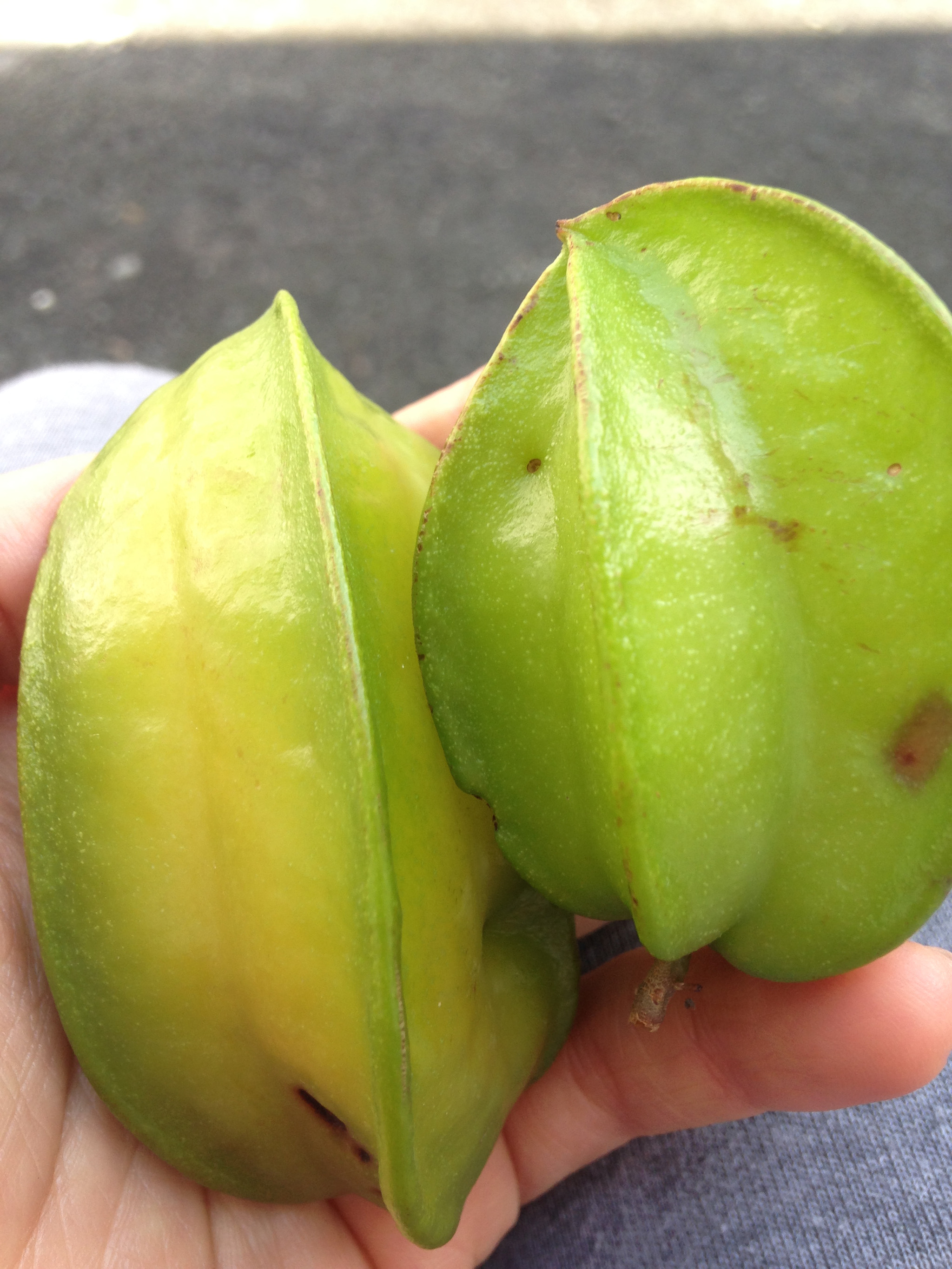 Apple iPhone 5c sample photo. Star fruit photography