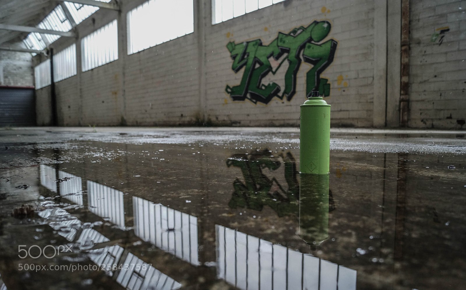 Sony SLT-A57 sample photo. Green photography