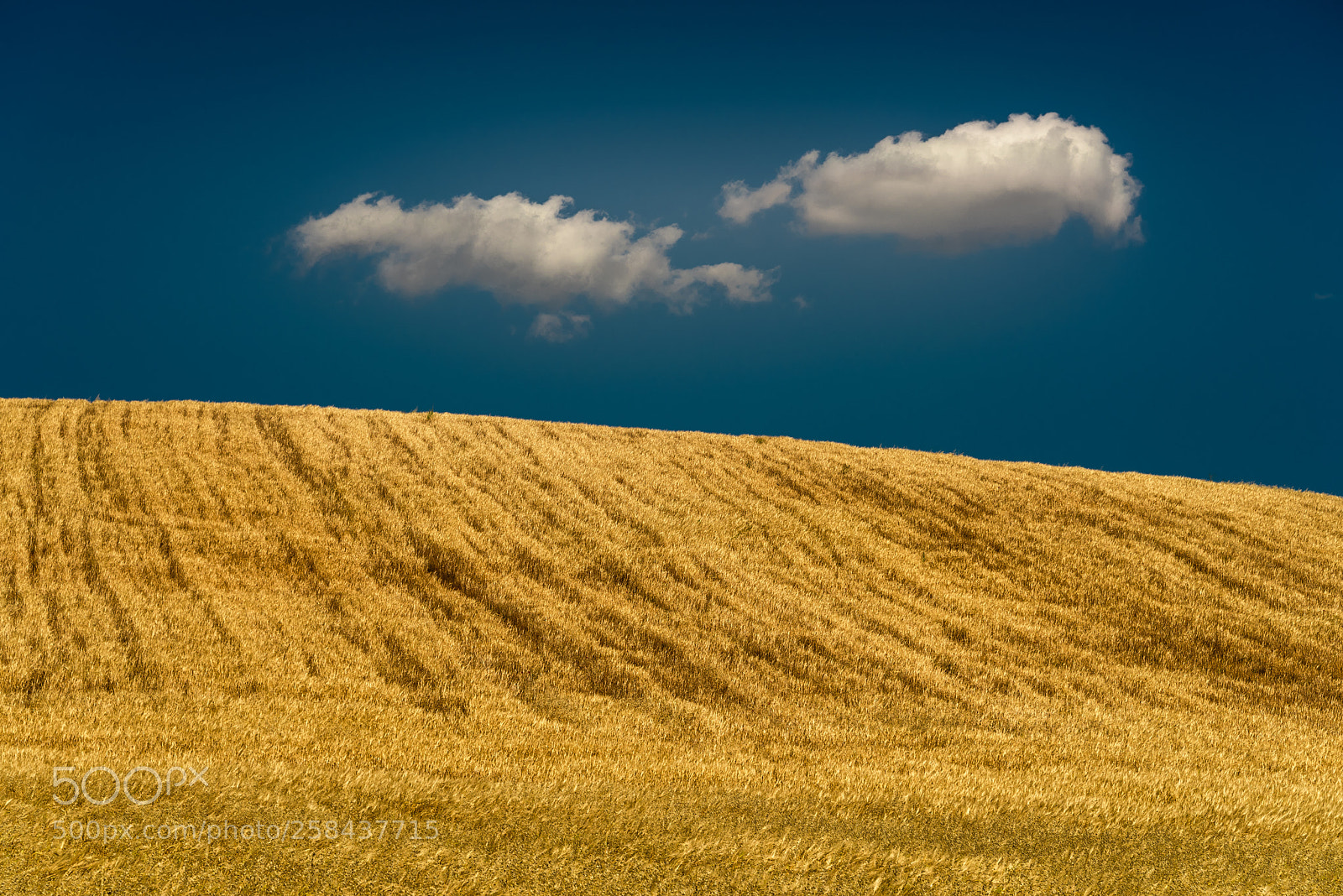 Nikon D750 sample photo. Pure landscape photography