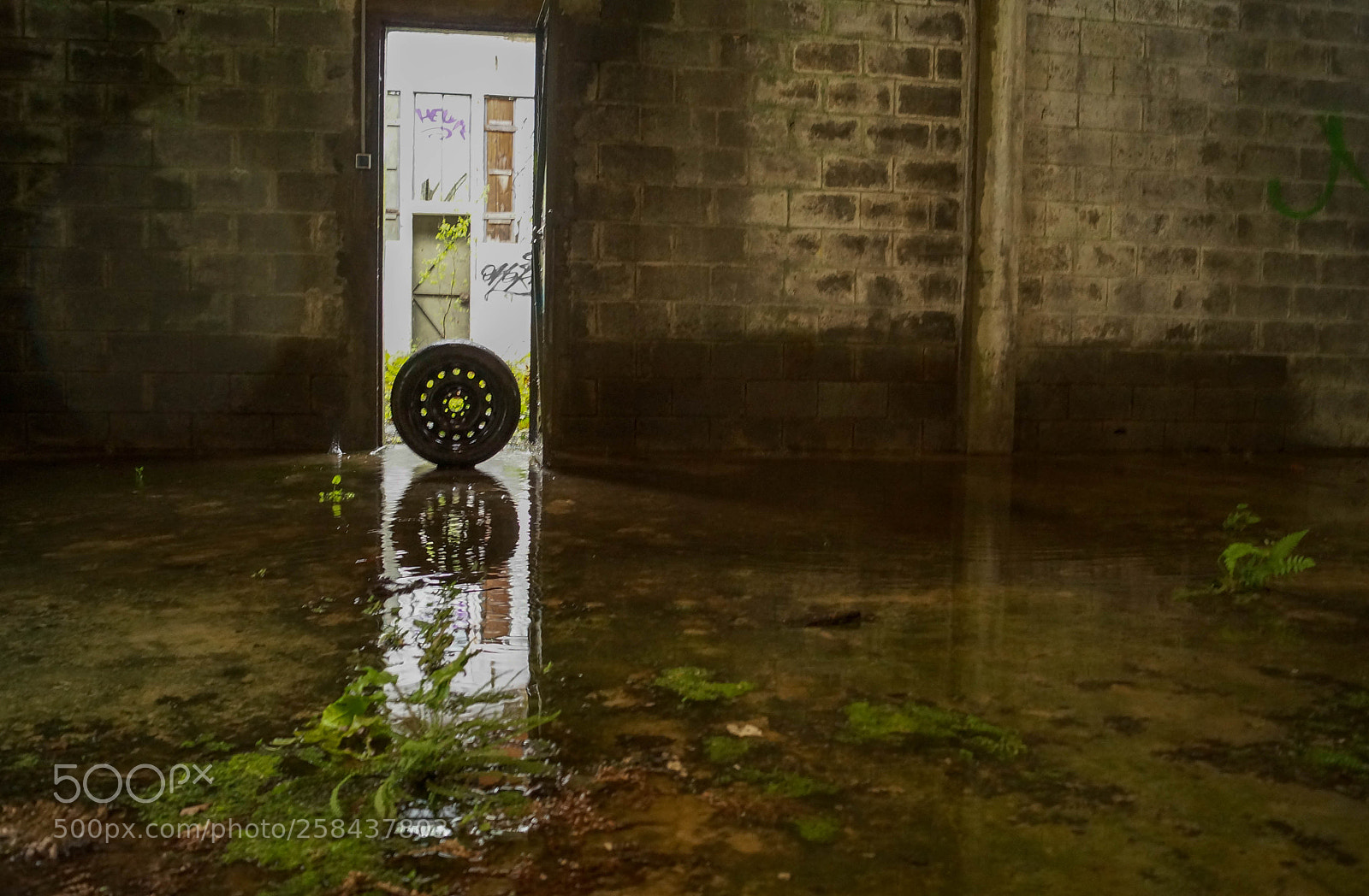 Sony SLT-A57 sample photo. Wheel photography
