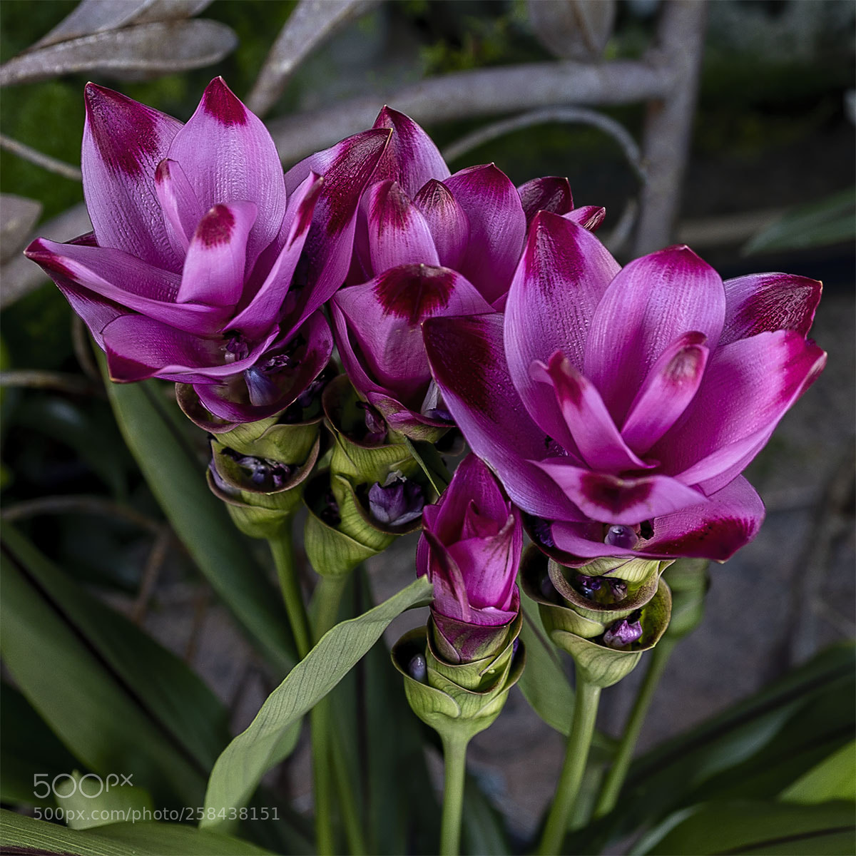 Sony a7S sample photo. Reutlingen 180518-040 photography