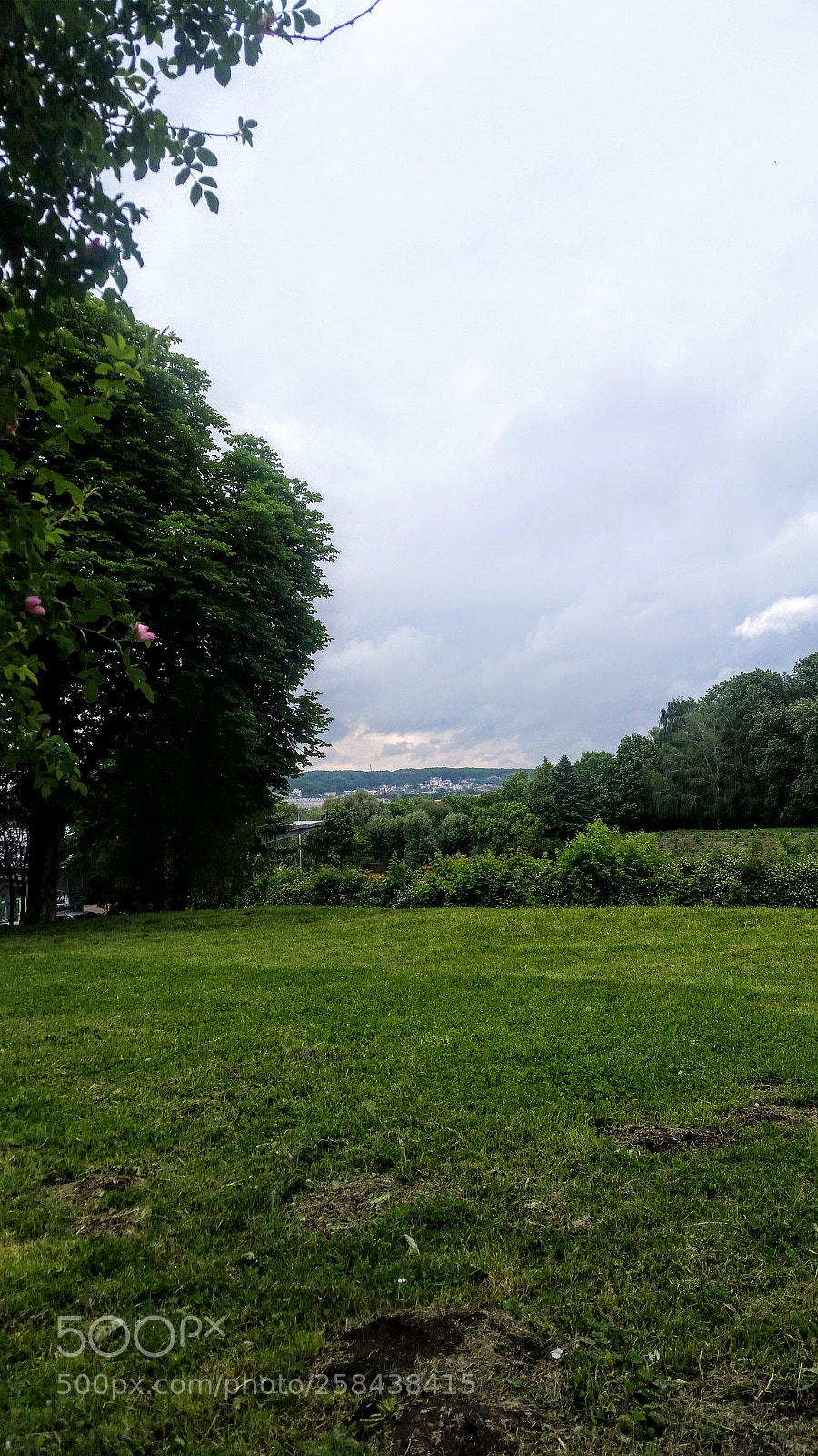 Samsung Galaxy S5 sample photo. Львов photography