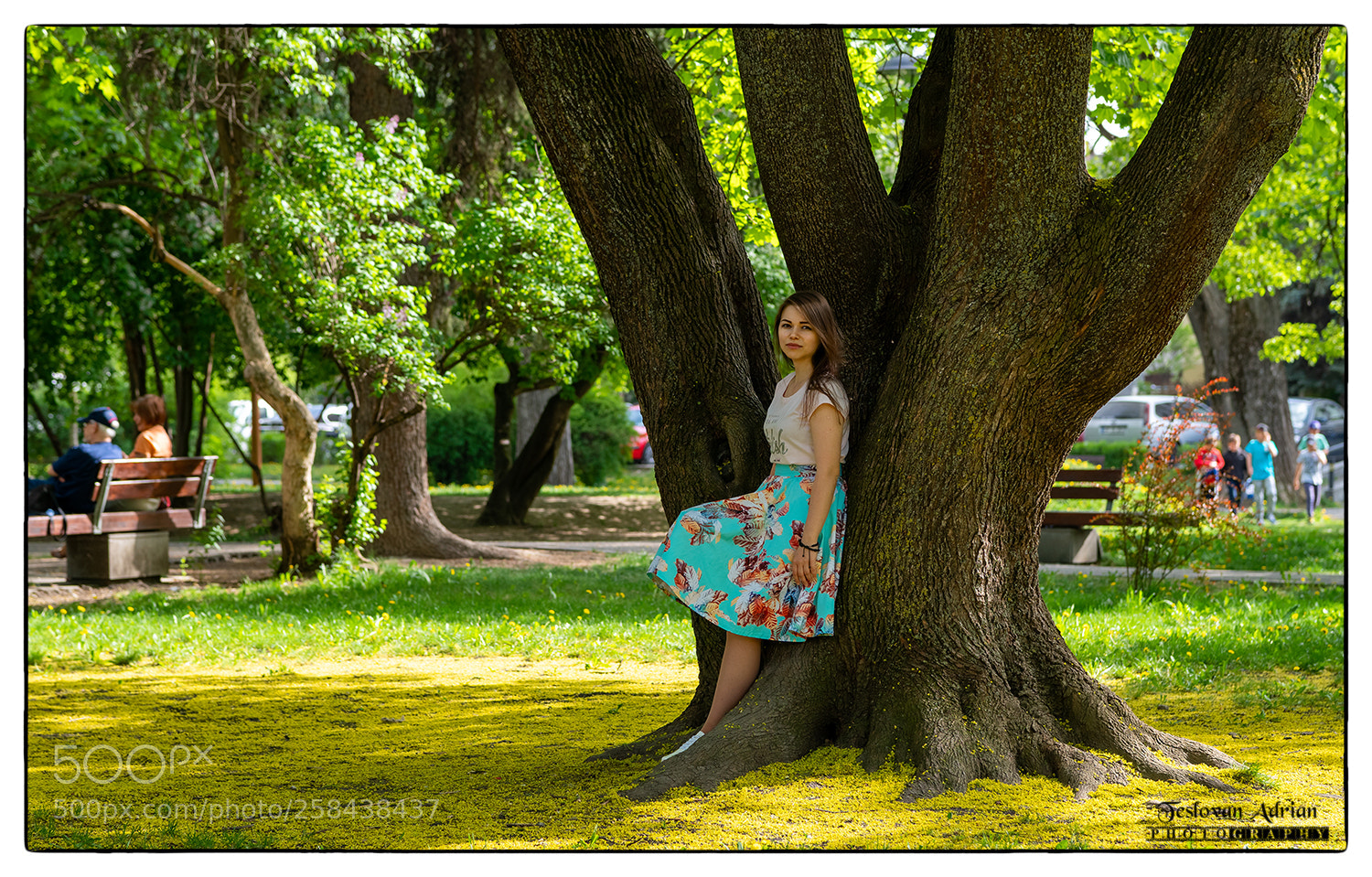 Sony a6300 sample photo. Love the trees photography