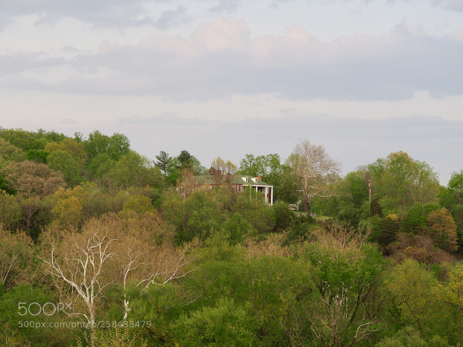 Olympus OM-D E-M10 II sample photo. The house on the photography