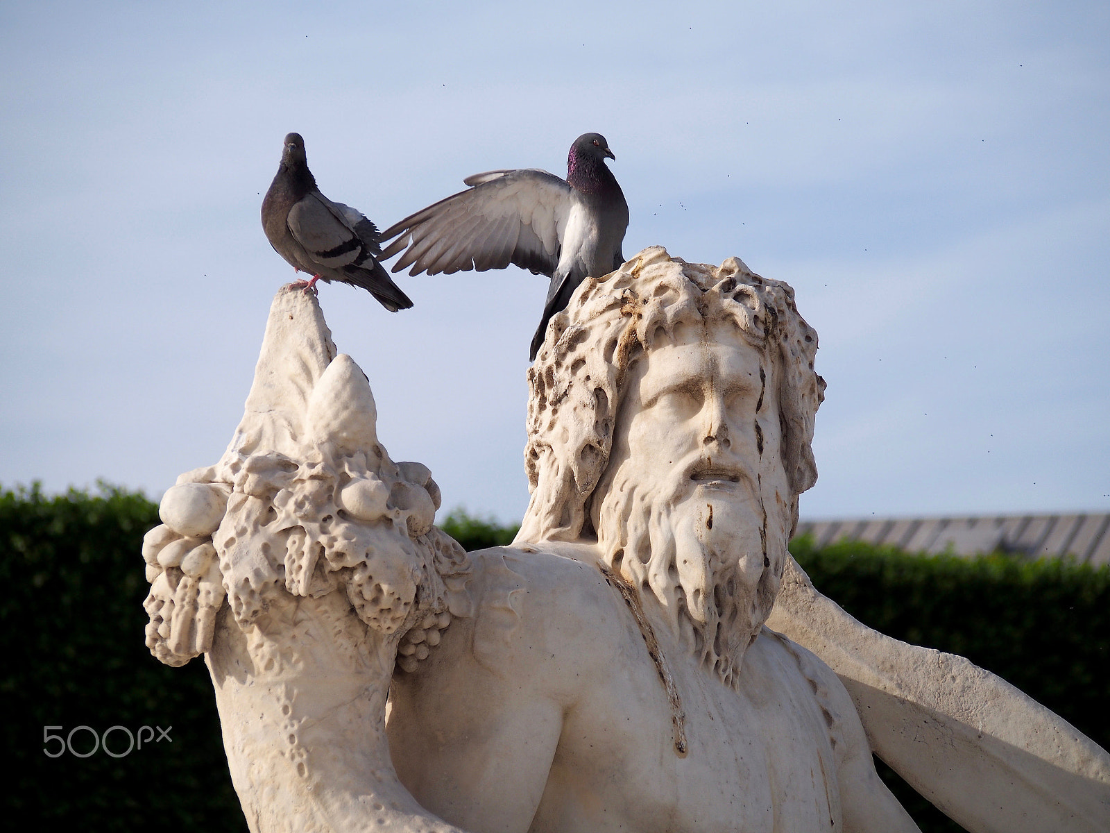 Olympus PEN E-PL6 sample photo. We coo for you photography