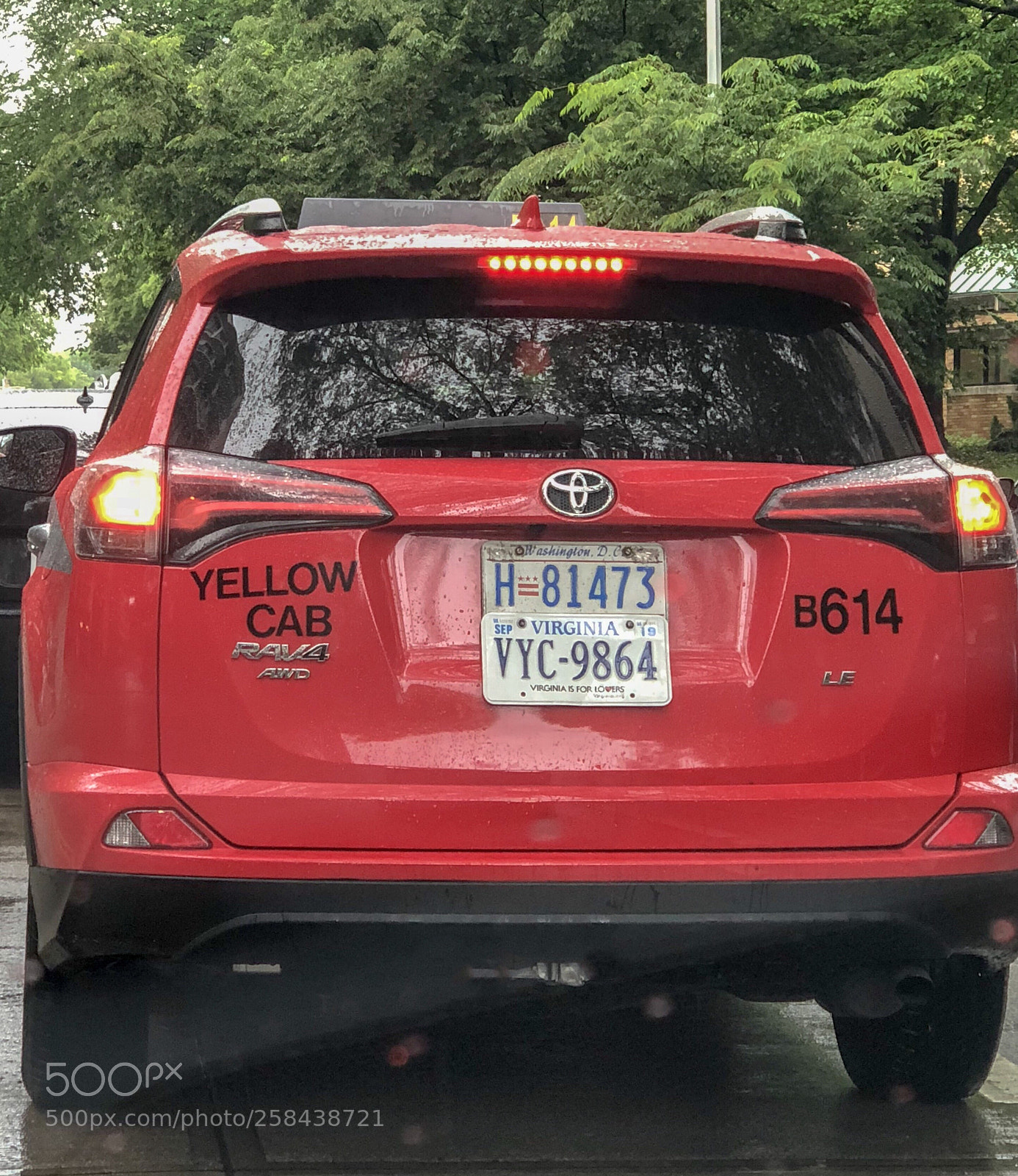Apple iPhone X sample photo. Color blind or ironic? photography