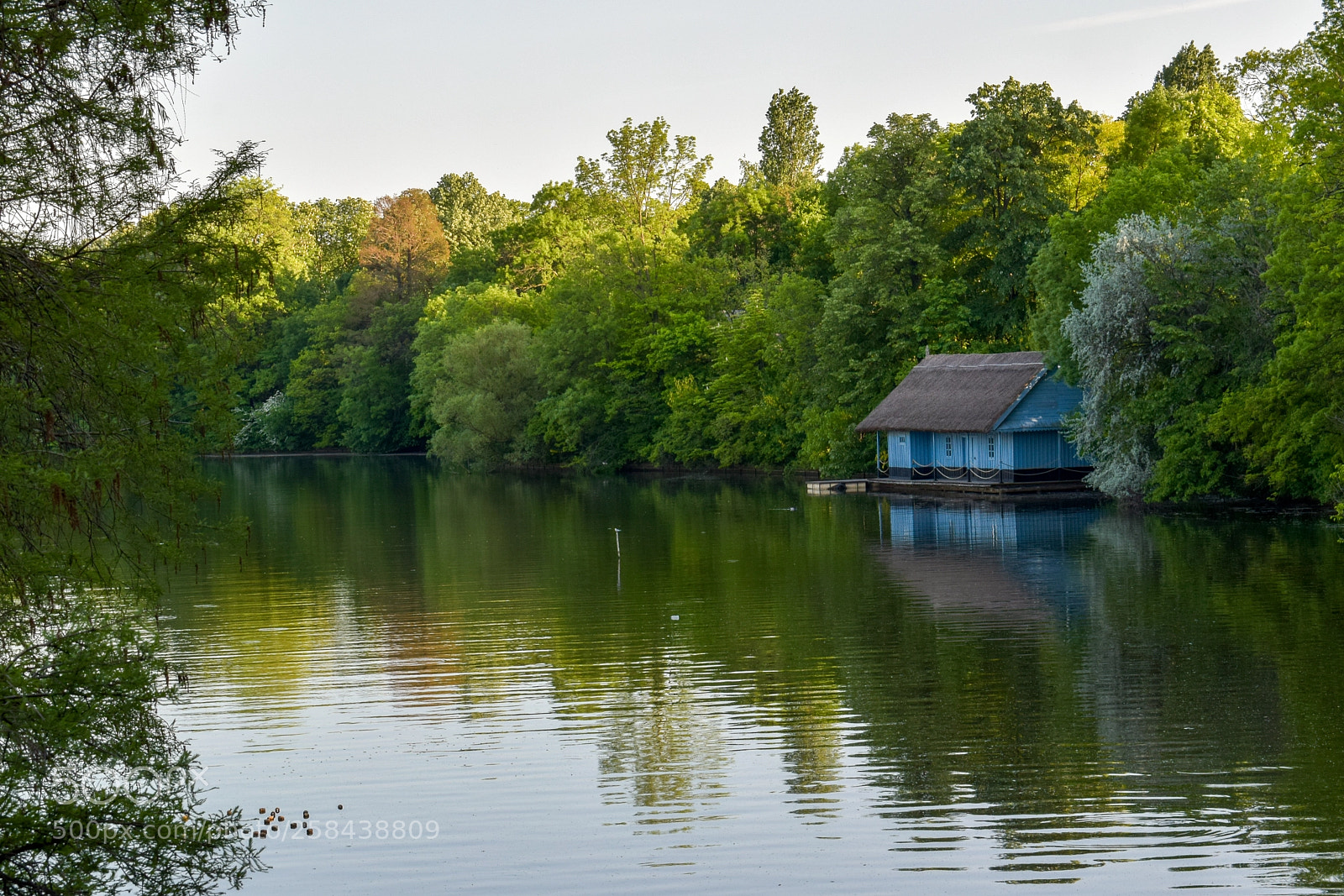 Nikon D3300 sample photo. Lake house photography