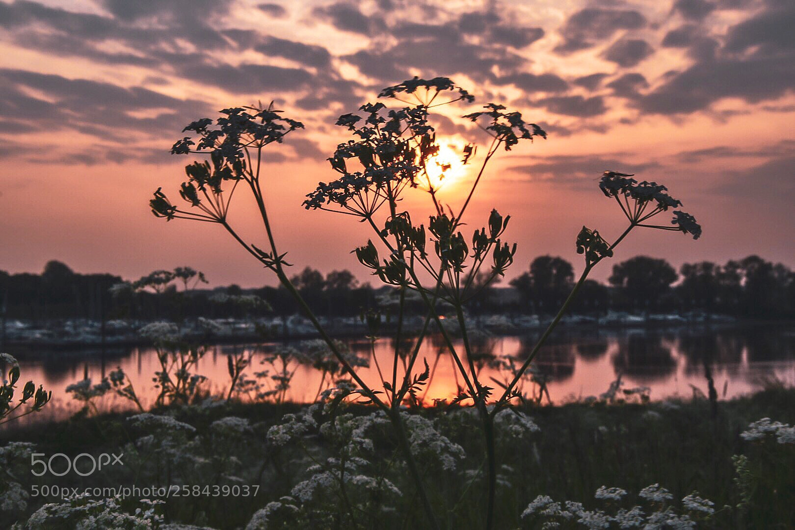 Nikon D5300 sample photo. Sunset..!! photography