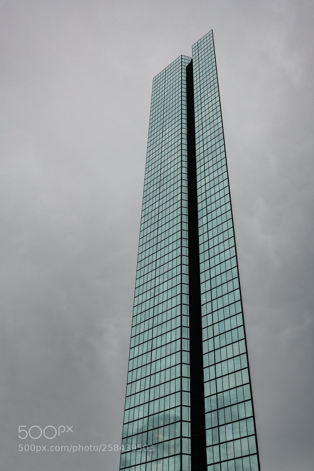 Nikon D850 sample photo. Standing tall photography