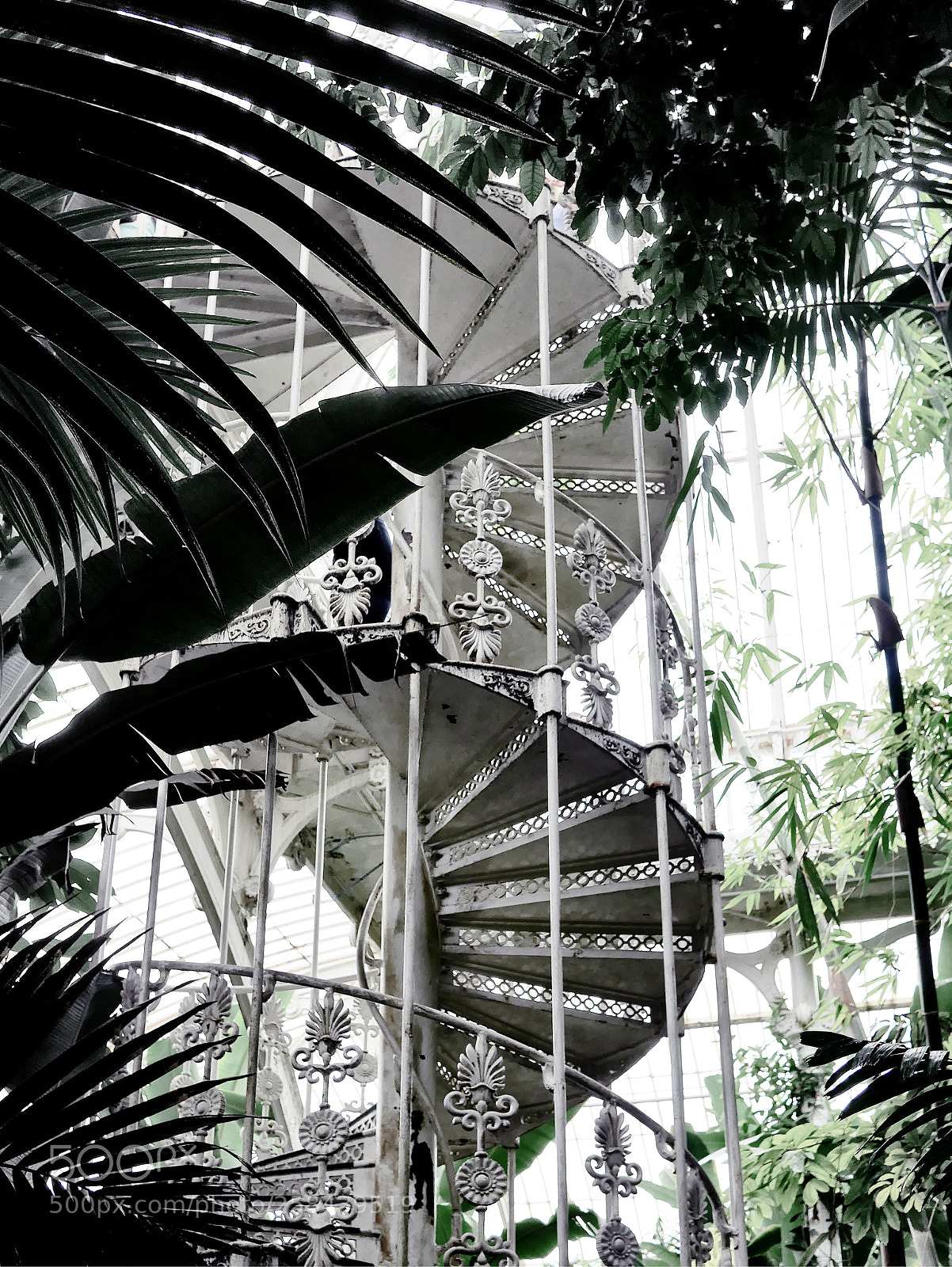 Panasonic Lumix DMC-GX7 sample photo. Palm house kew gardens photography