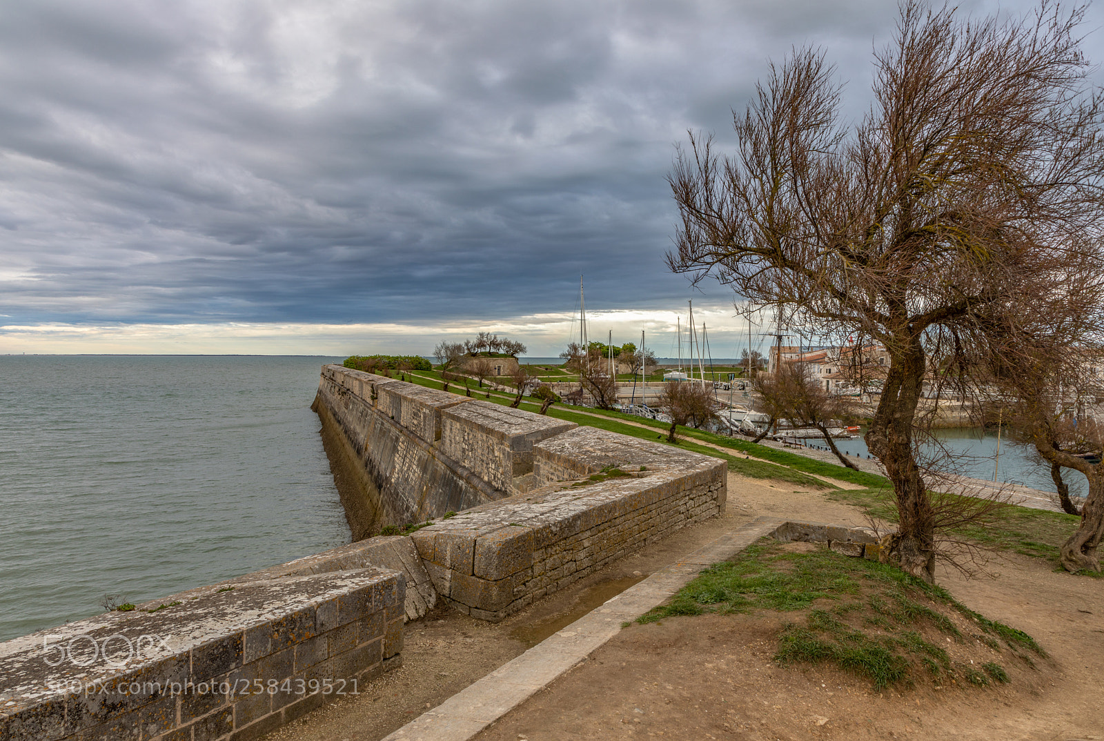 Canon EOS 5D Mark IV sample photo. Saint martin de re photography