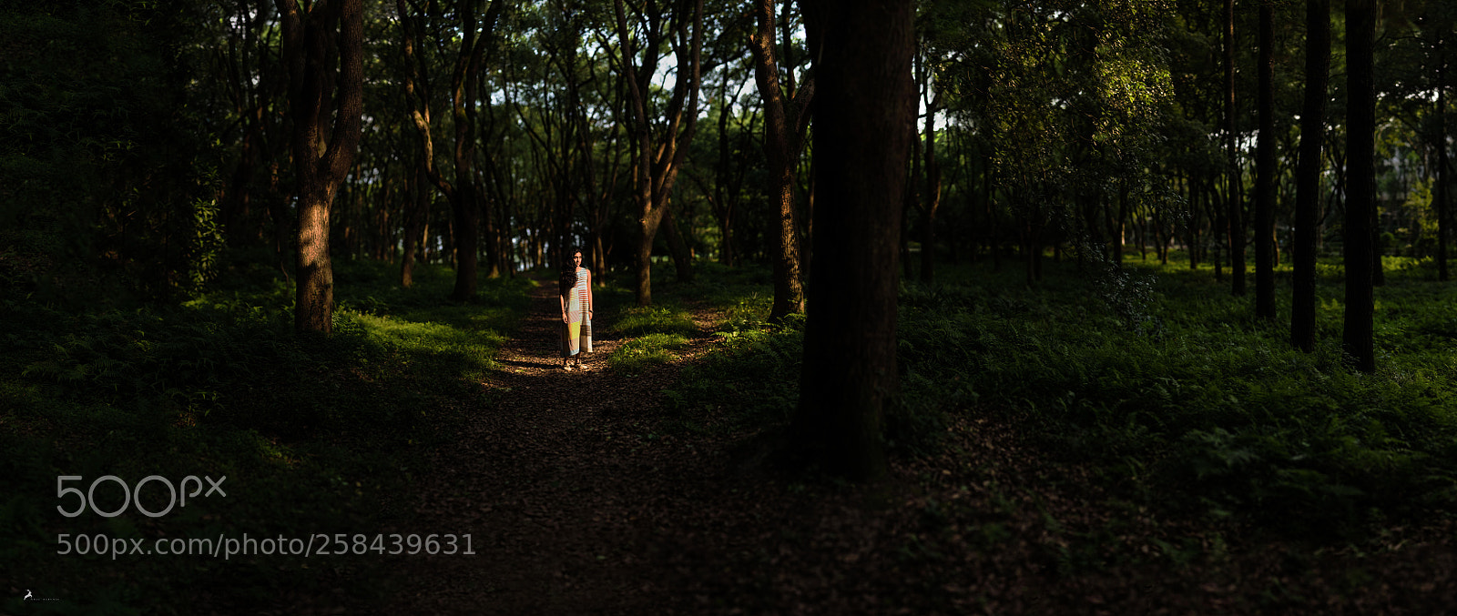 Nikon D750 sample photo. { i found a ray } photography