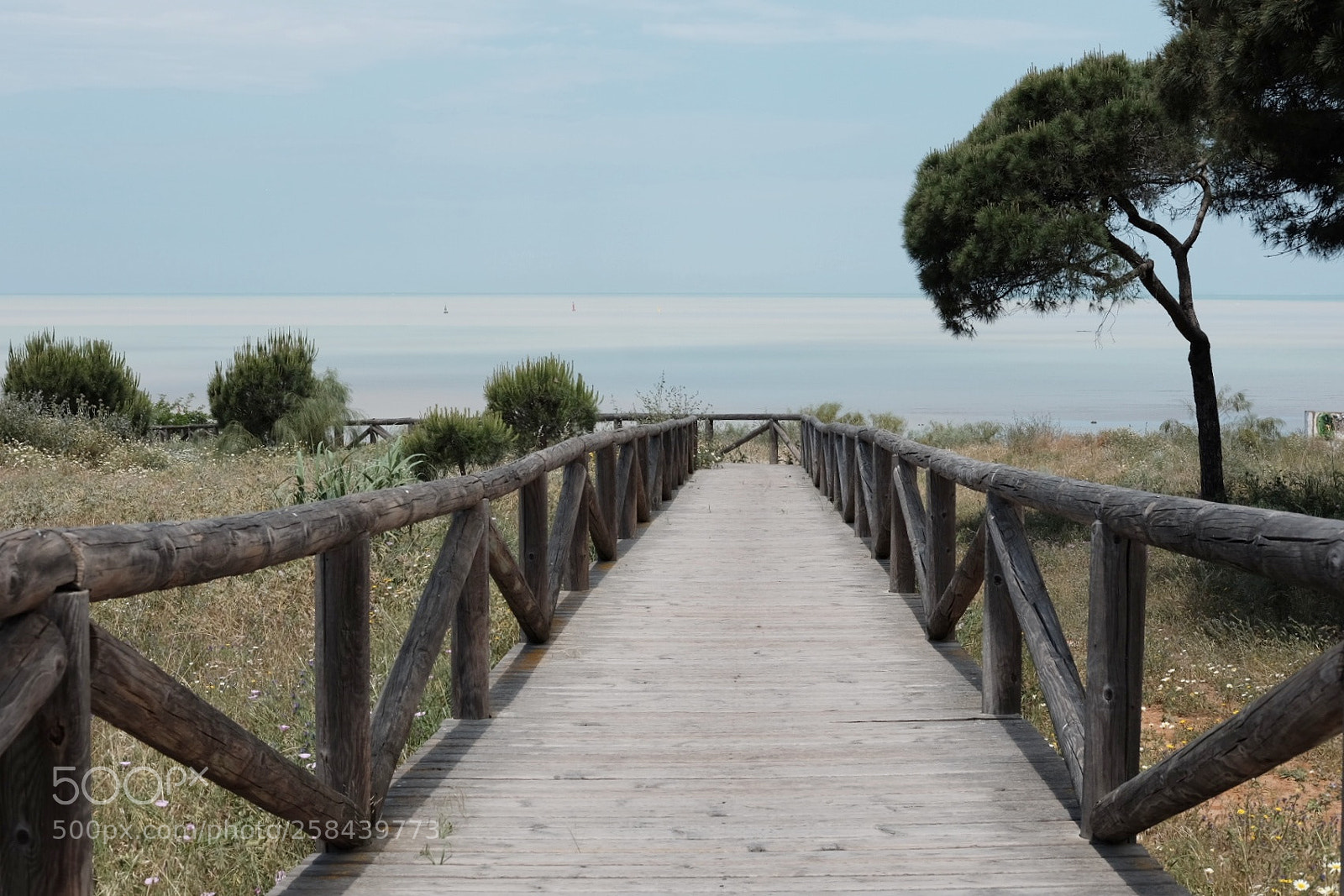 Fujifilm X-T1 sample photo. A bridge to the photography