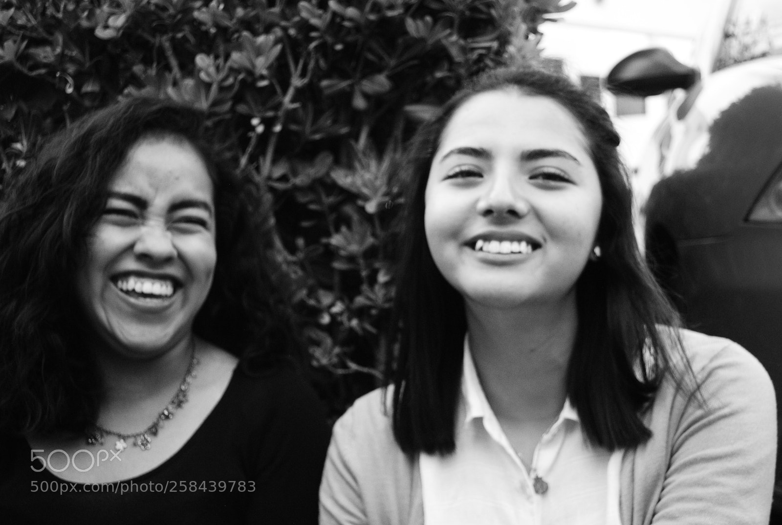 Nikon D3000 sample photo. Friendship photography