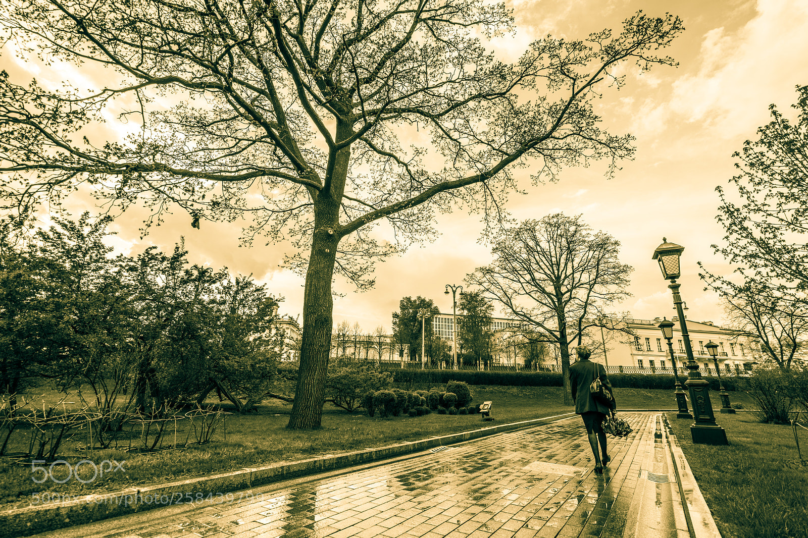 Sony a7 II sample photo. Dsc photography