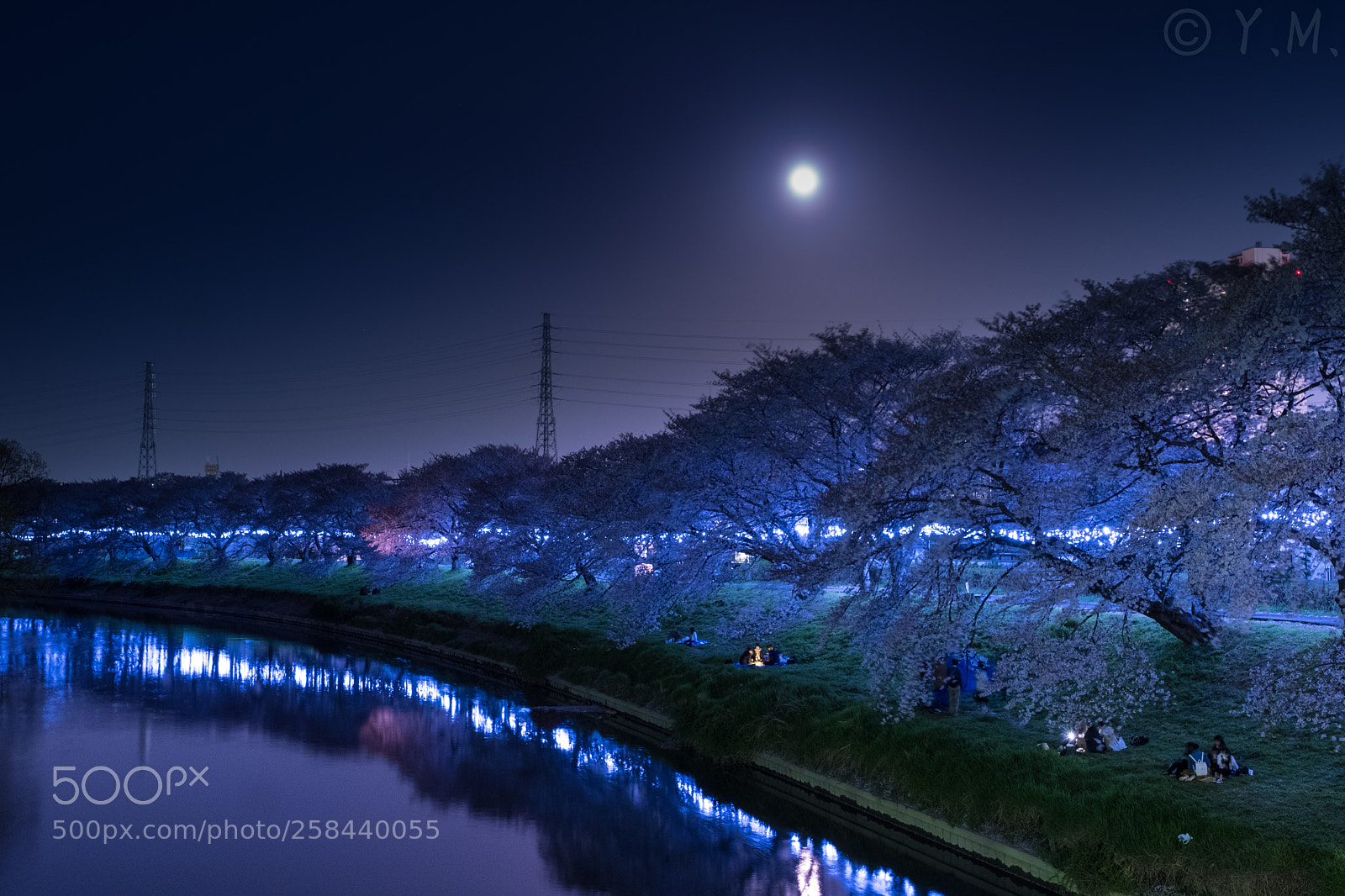 Fujifilm X-T2 sample photo. Sakura photography