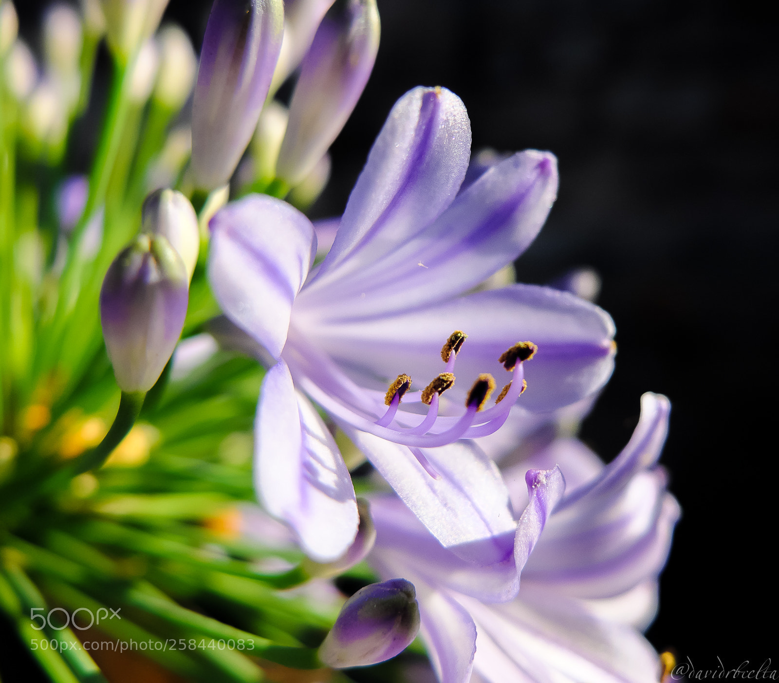 Fujifilm X30 sample photo. Detalls de drassanes photography
