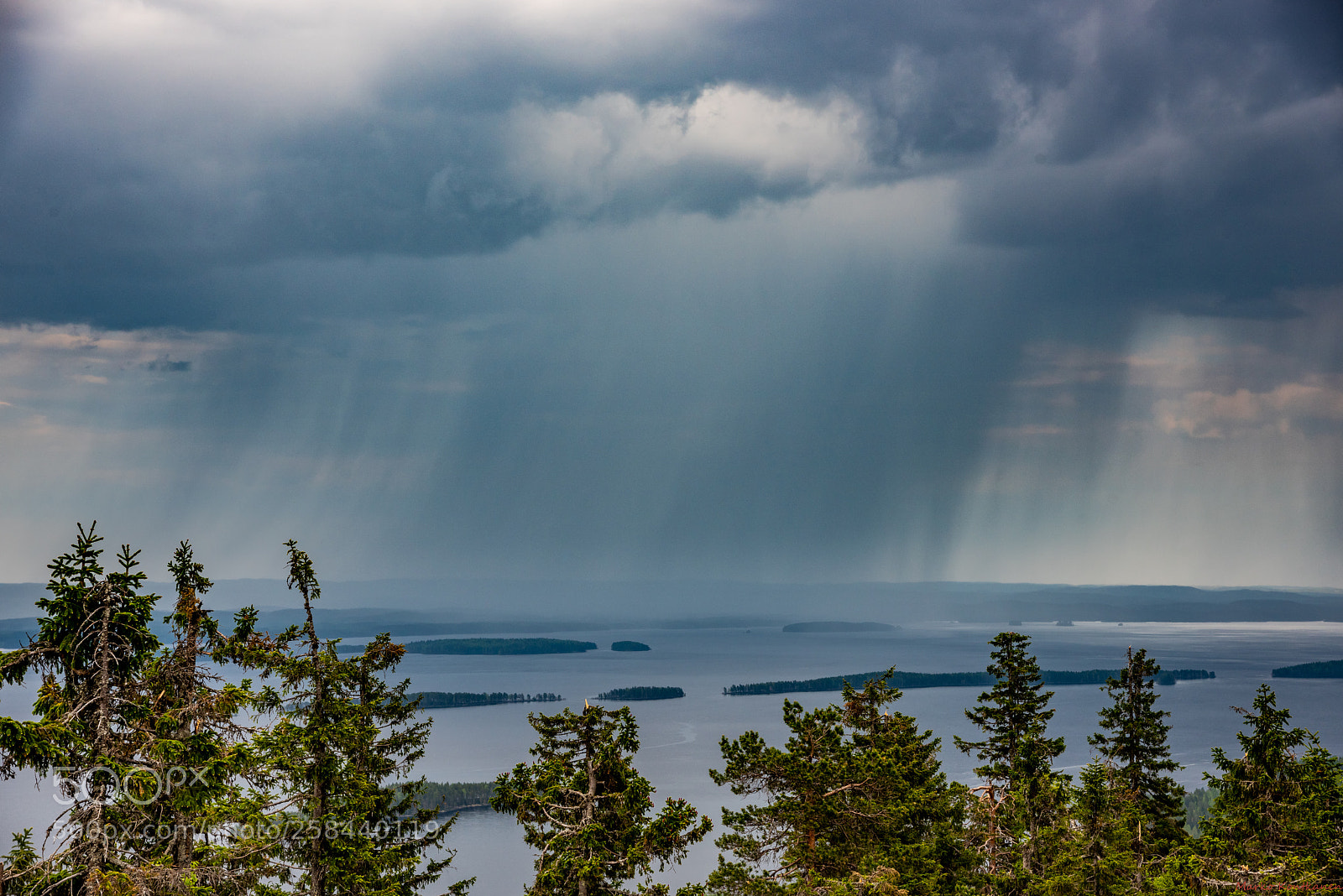 Nikon D810 sample photo. Rain wall photography