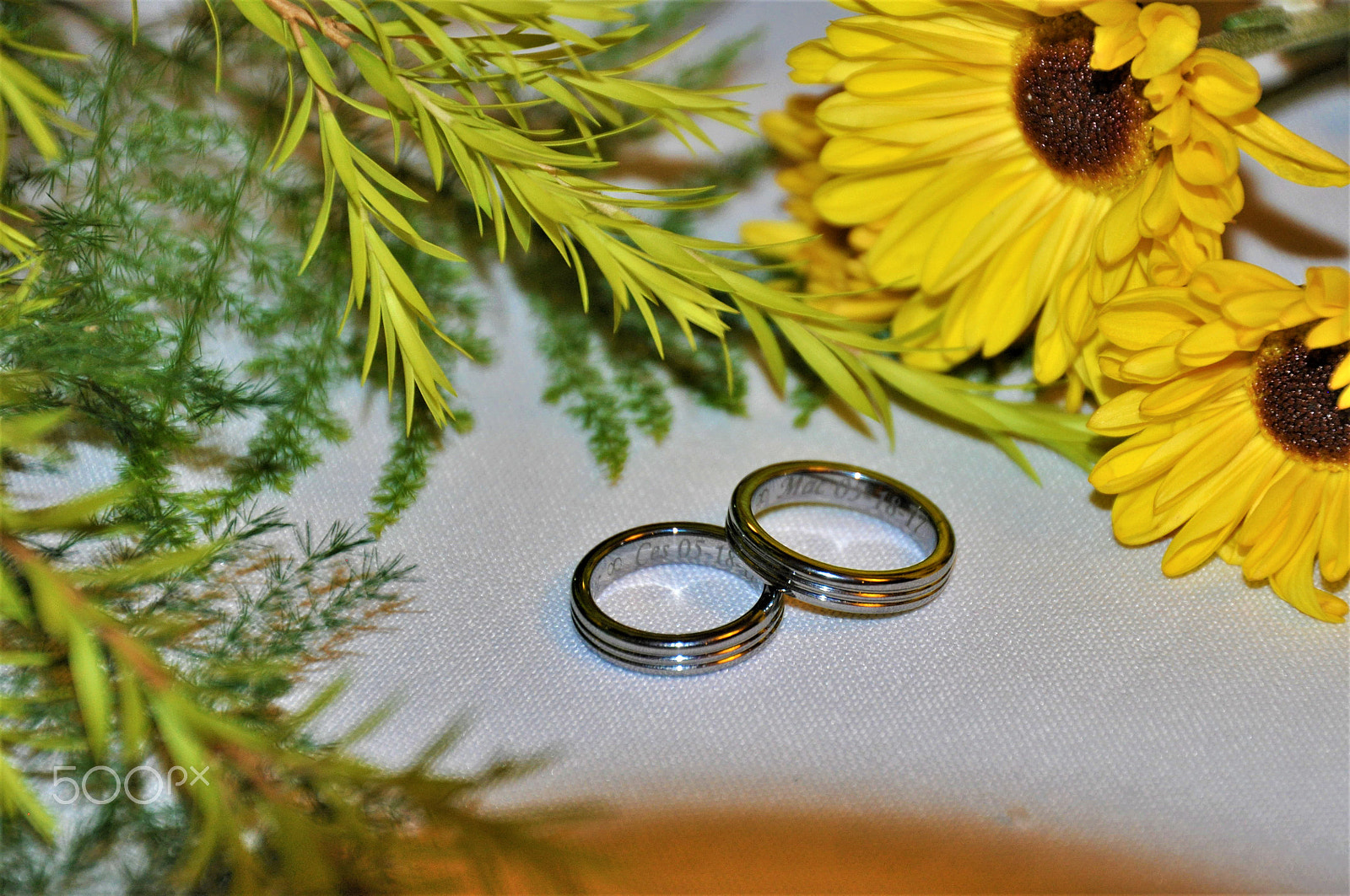 Nikon D5000 sample photo. Wedding rings photography