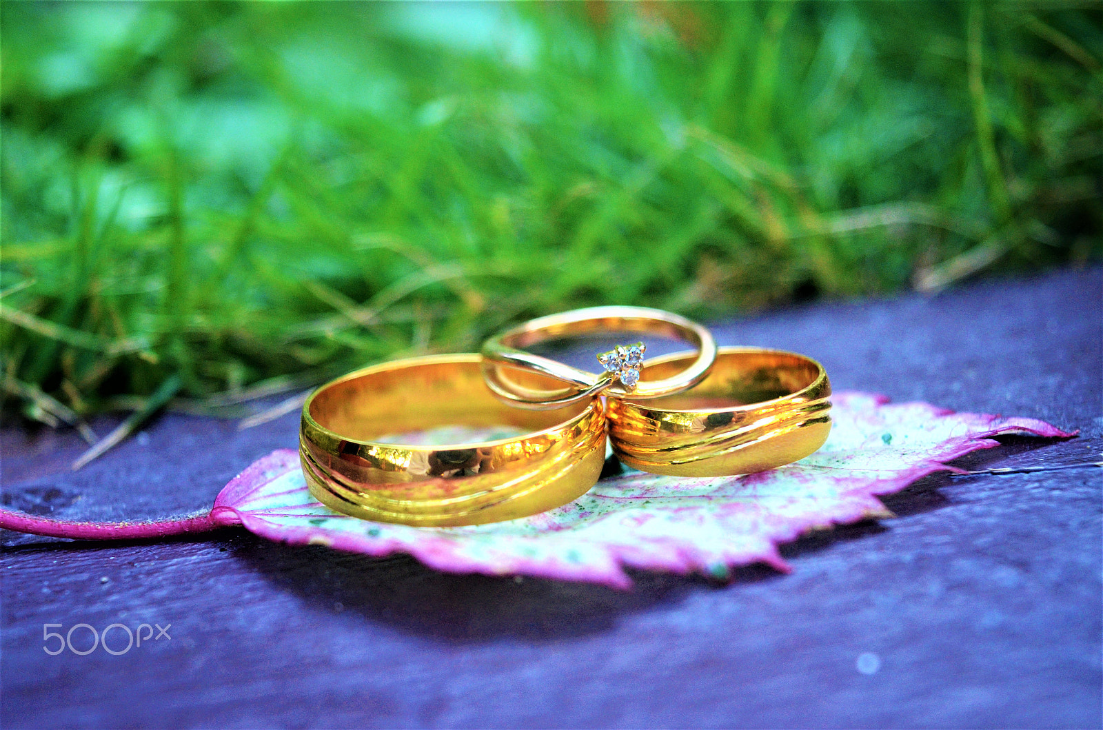 Nikon D7000 sample photo. Wedding rings photography