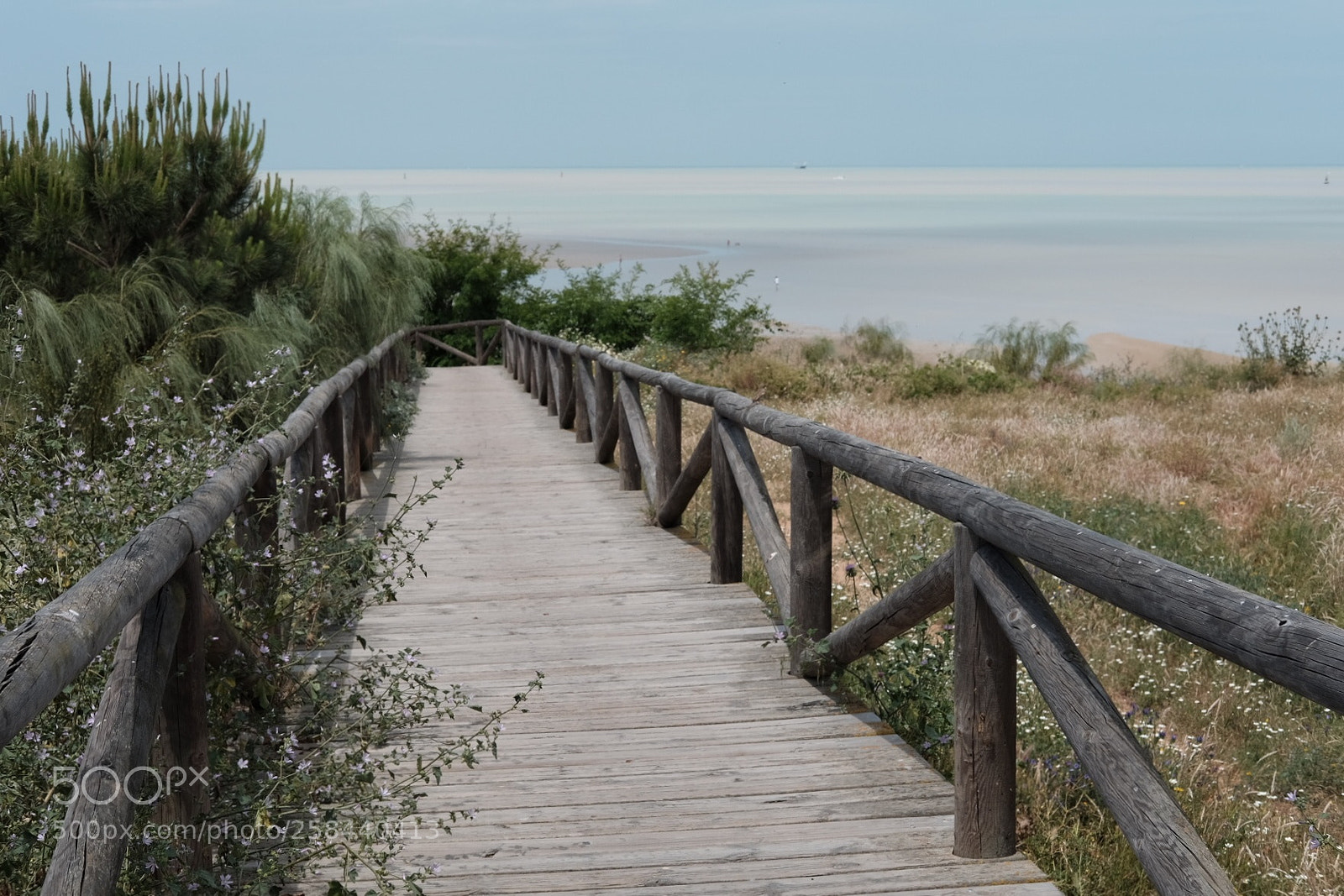 Fujifilm X-T1 sample photo. A bridge to the photography
