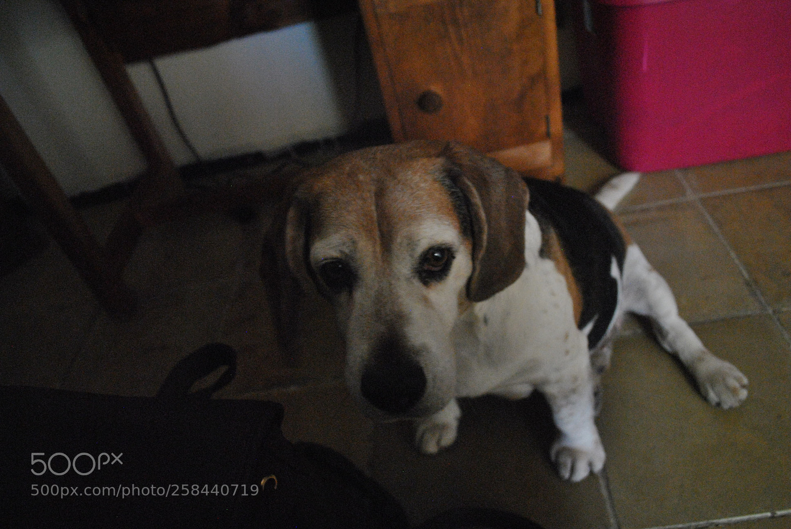 Nikon D3000 sample photo. Untitled photography
