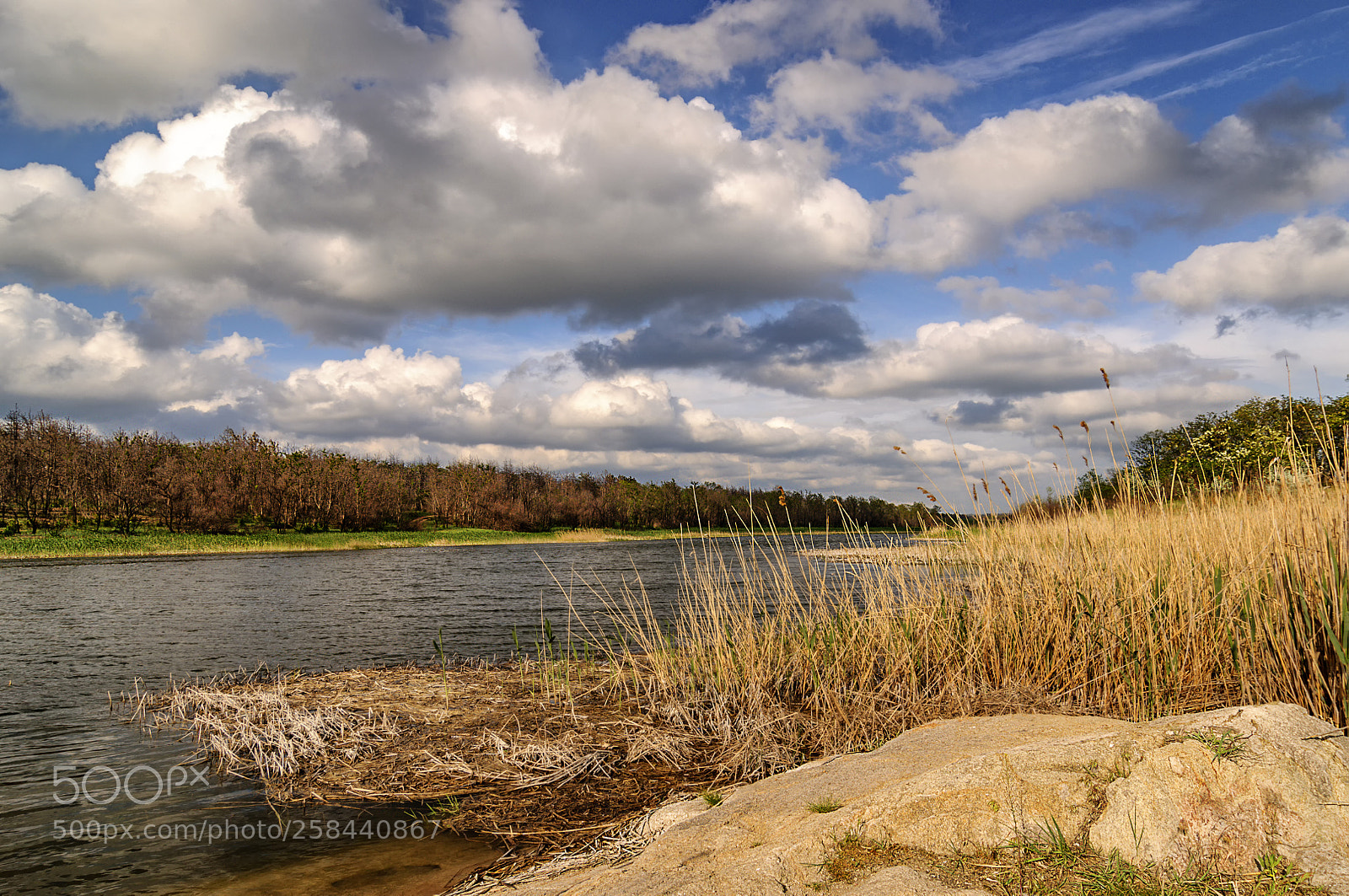 Nikon D90 sample photo. Just a beautiful day photography
