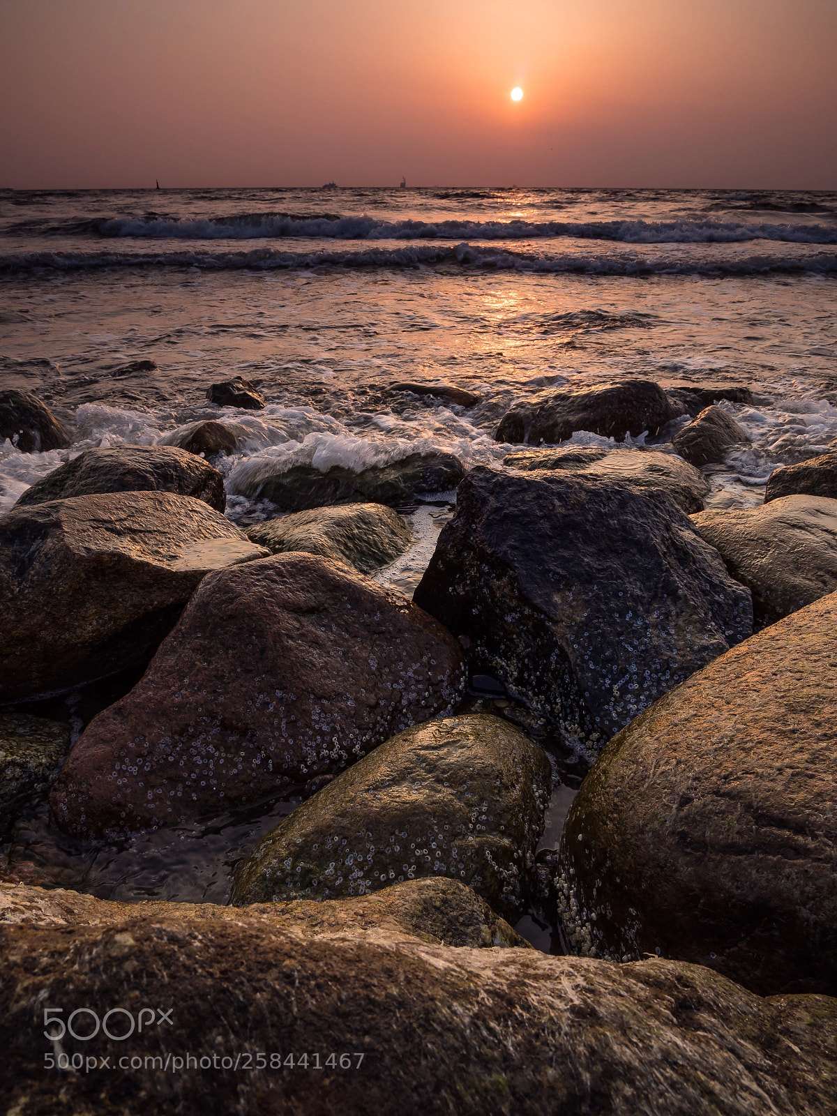 Olympus OM-D E-M10 II sample photo. First light  photography